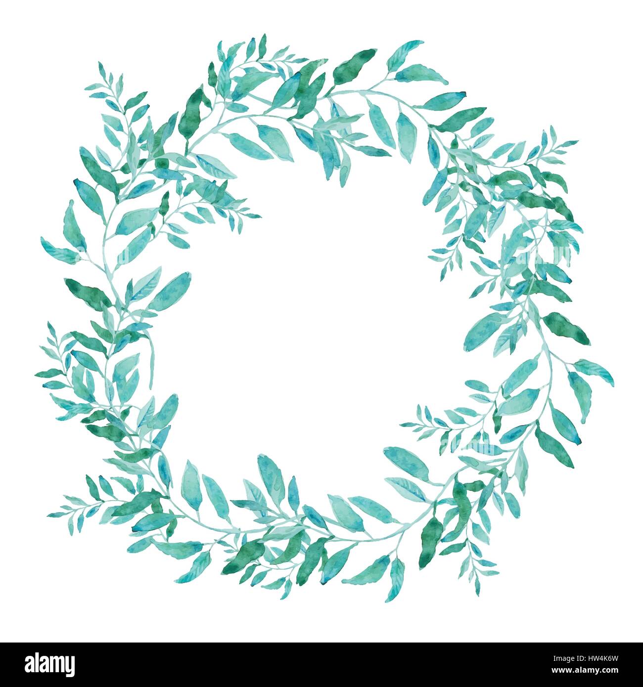 Olive wreath isolated on white background. Green tea tree leaves ...