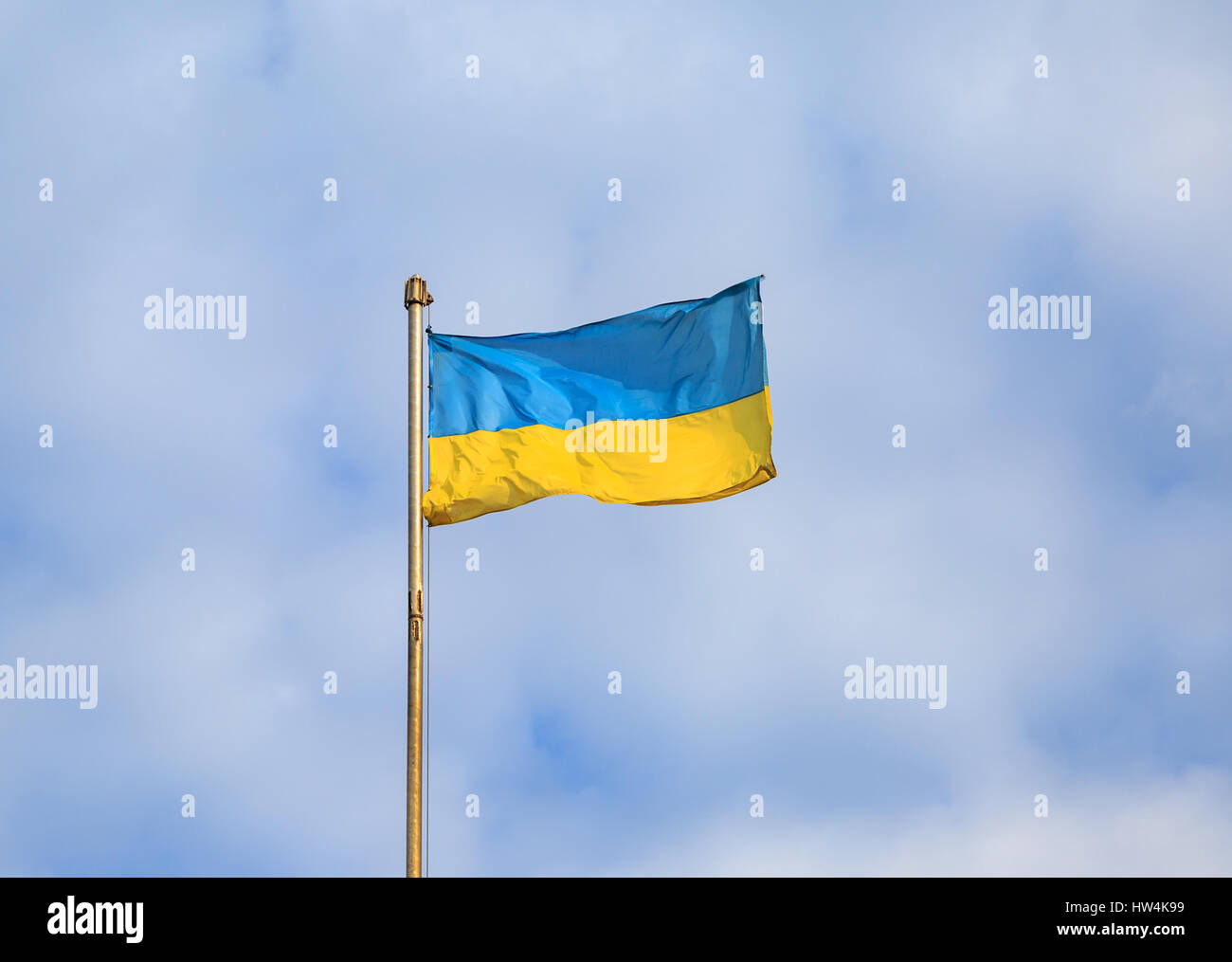 Ukrainian flag vector hi-res stock photography and images - Alamy