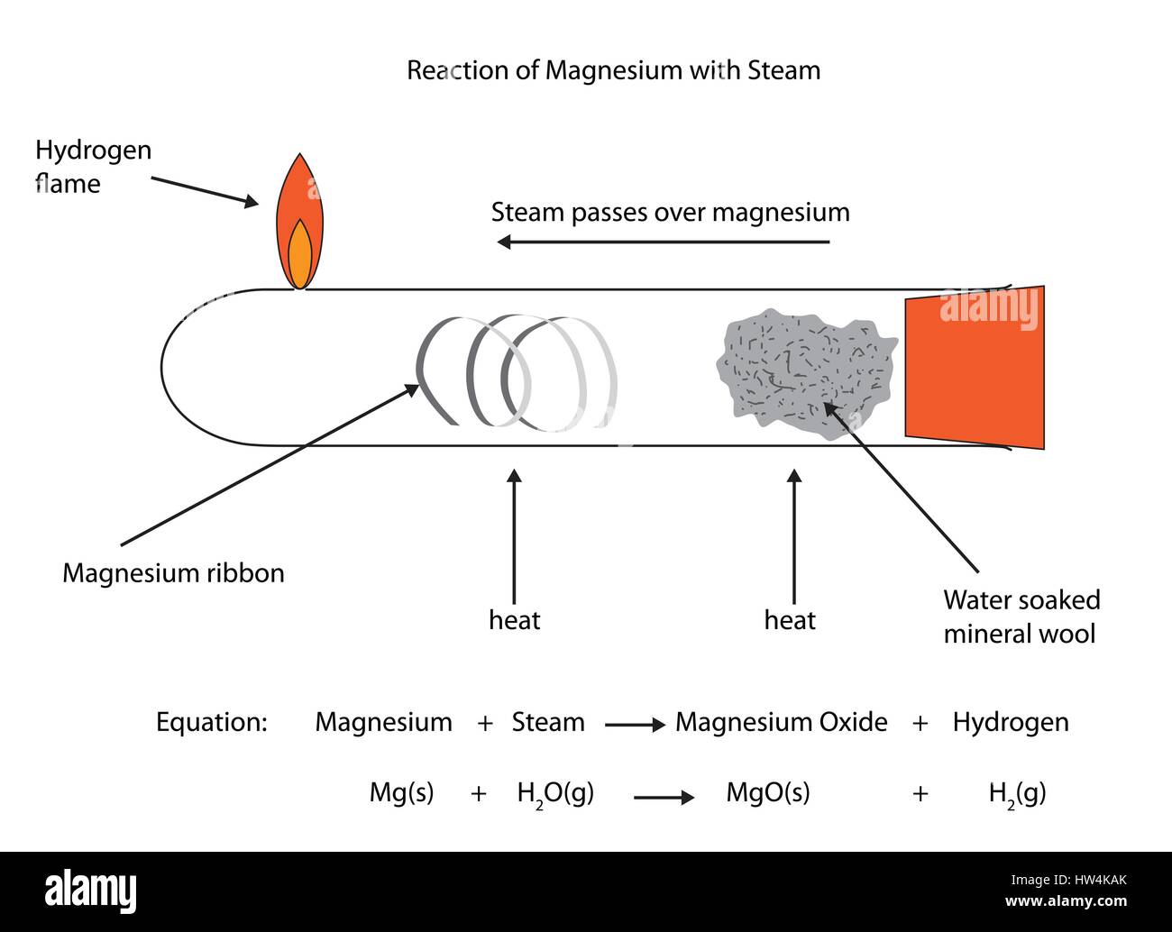 Labelled diagram of magnesium reacting with steam. Vector diagram for educational use. Stock Vector
