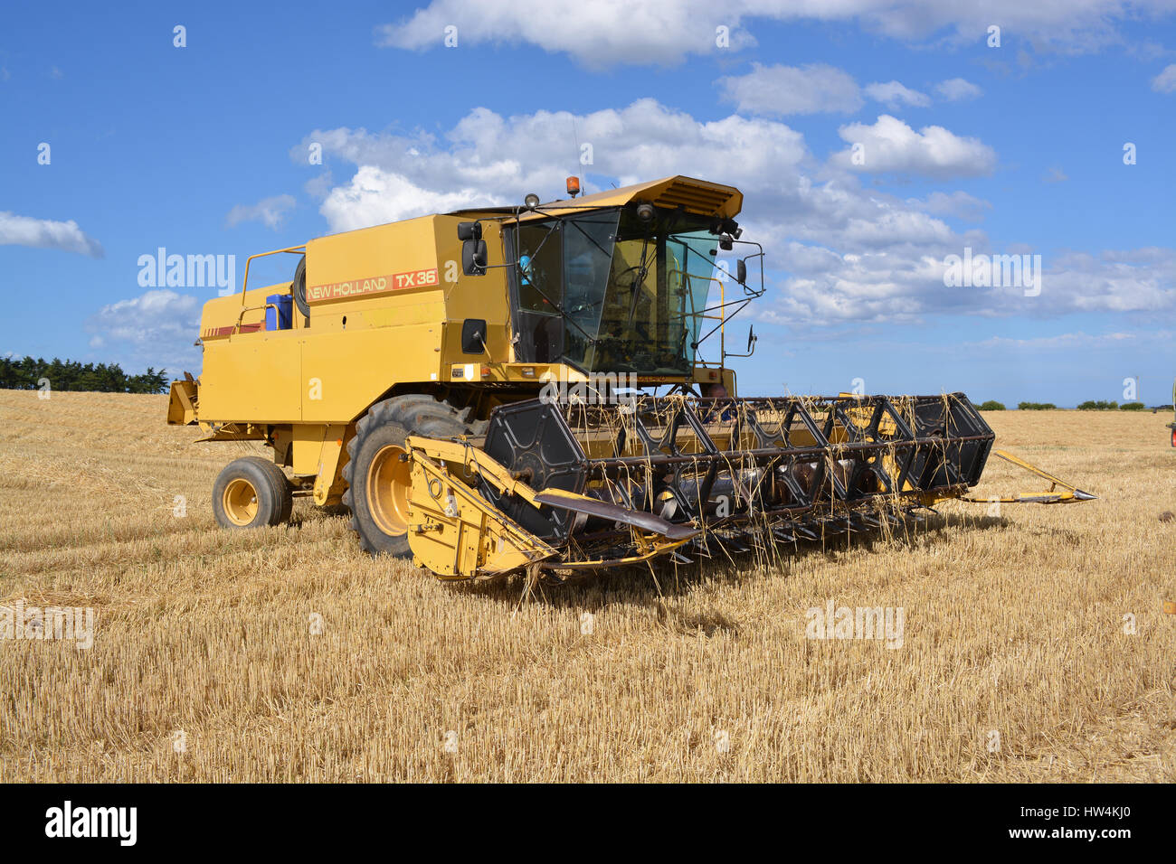 New Holland TX36 Combine Harvester Stock Photo
