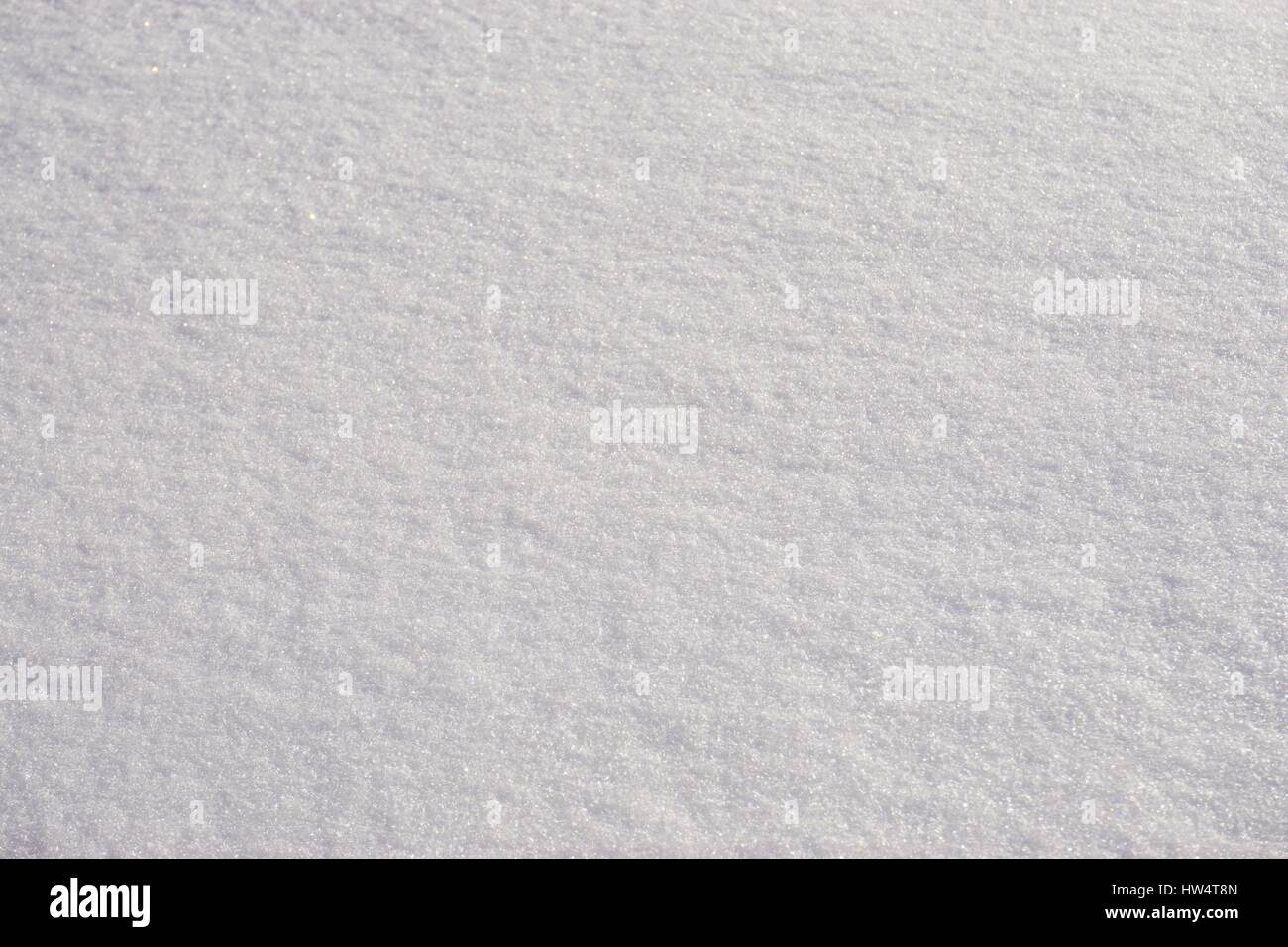 Glistening white snow after a winter storm Stock Photo