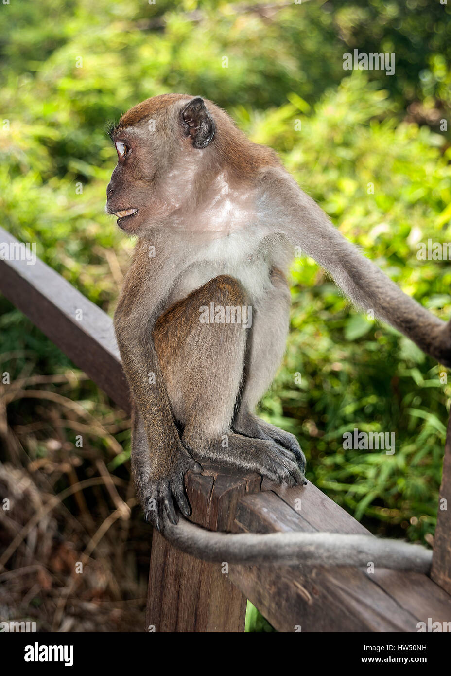 Thailand, Krabi, Ao Nang Village. The so-called 
