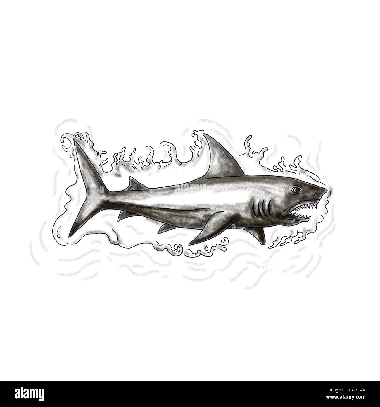 Tattoo style illustration of a shark swimming in water viewed from the side  set on isolated white background Stock Photo - Alamy
