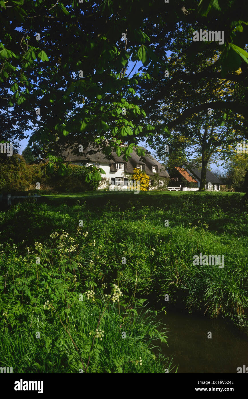 Thatched cottage, Hilton. Huntingdonshire, Cambridgeshire, England, UK