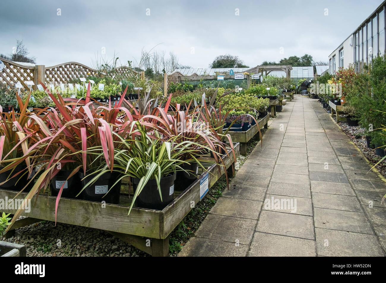 Garden Centre Plants Shrubs Sale Leisure Activity Gardening Business Display Stock Photo