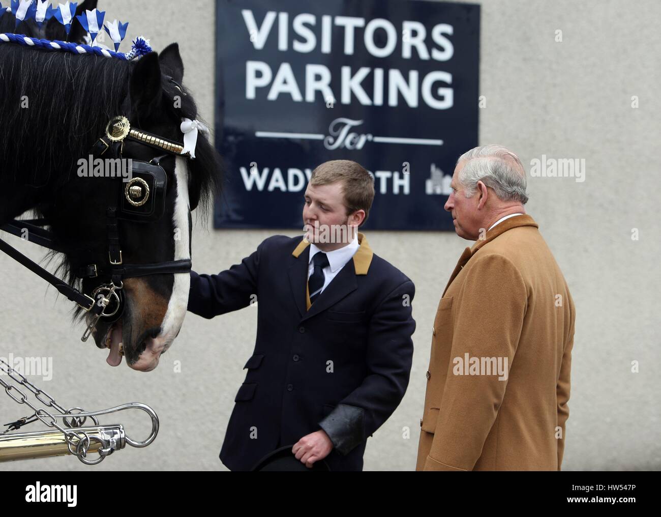 The Prince of Wales meets two shire horses during a visit to the