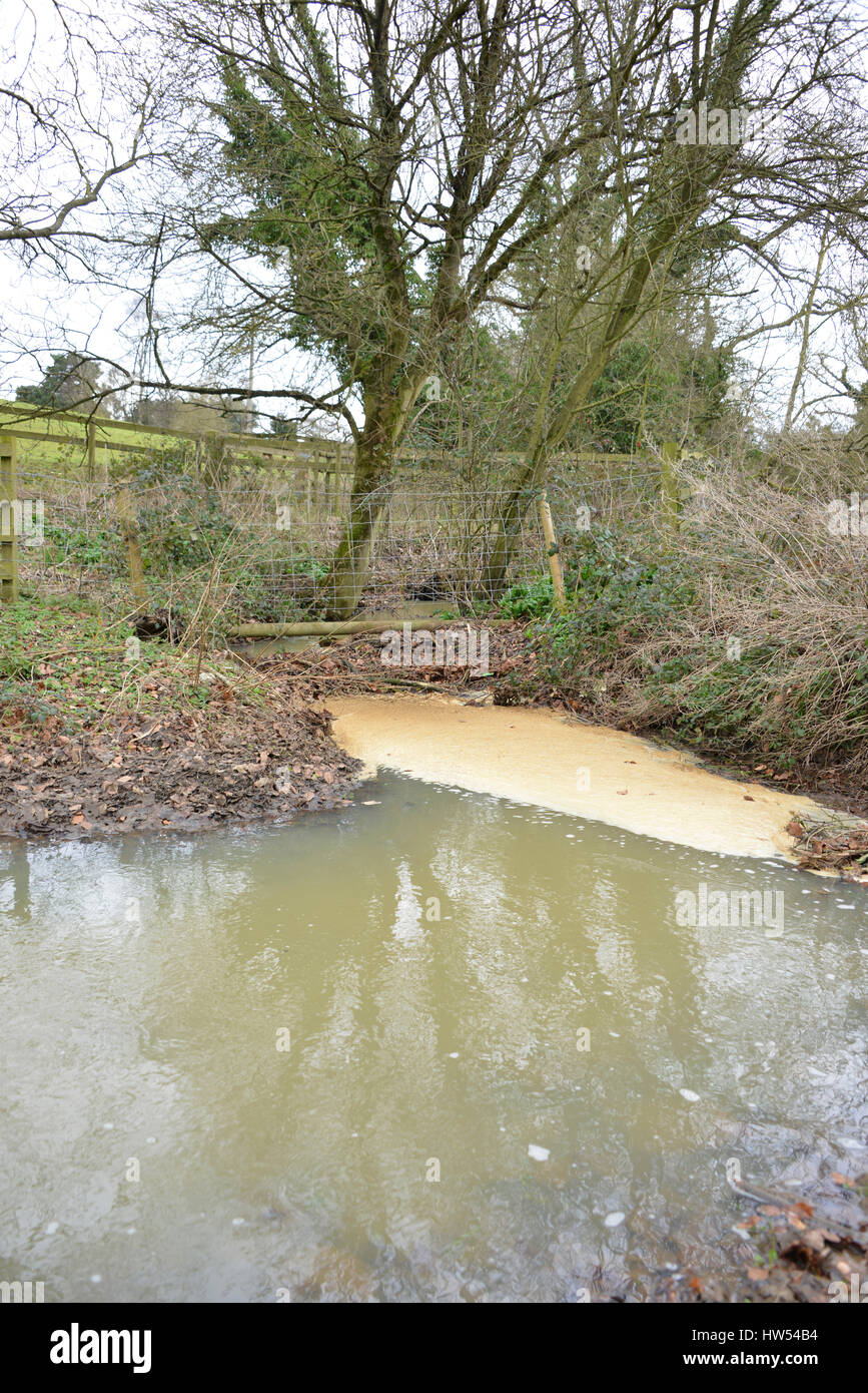 Stagnant water caused by branches blocking flow of stream in the north Oxfordshire village of Hook Norton Stock Photo