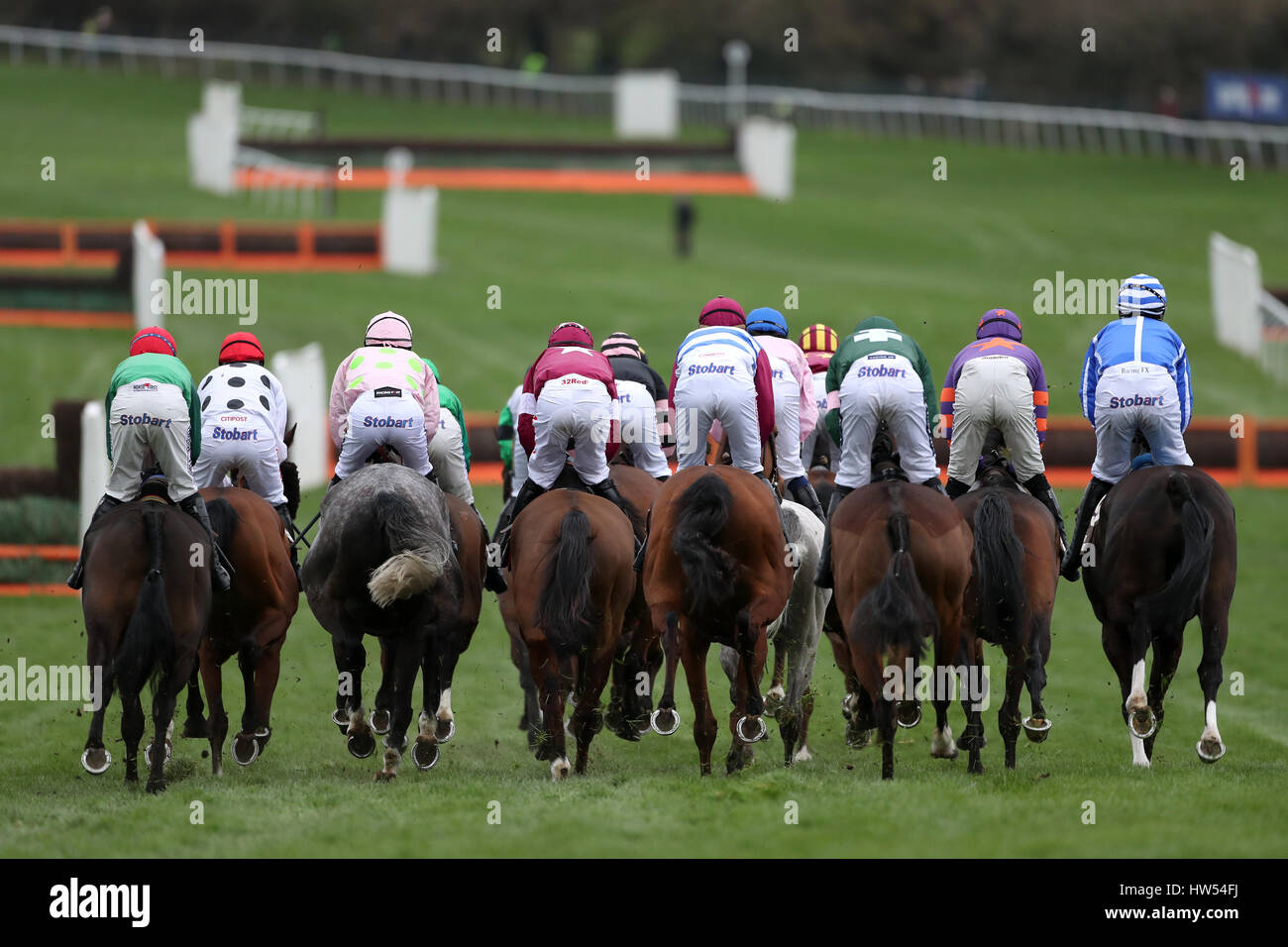 Runners and riders in the Albert Bartlett Novices' Hurdle during Gold Cup Day of the 2017 Cheltenham Festival at Cheltenham Racecourse. Stock Photo