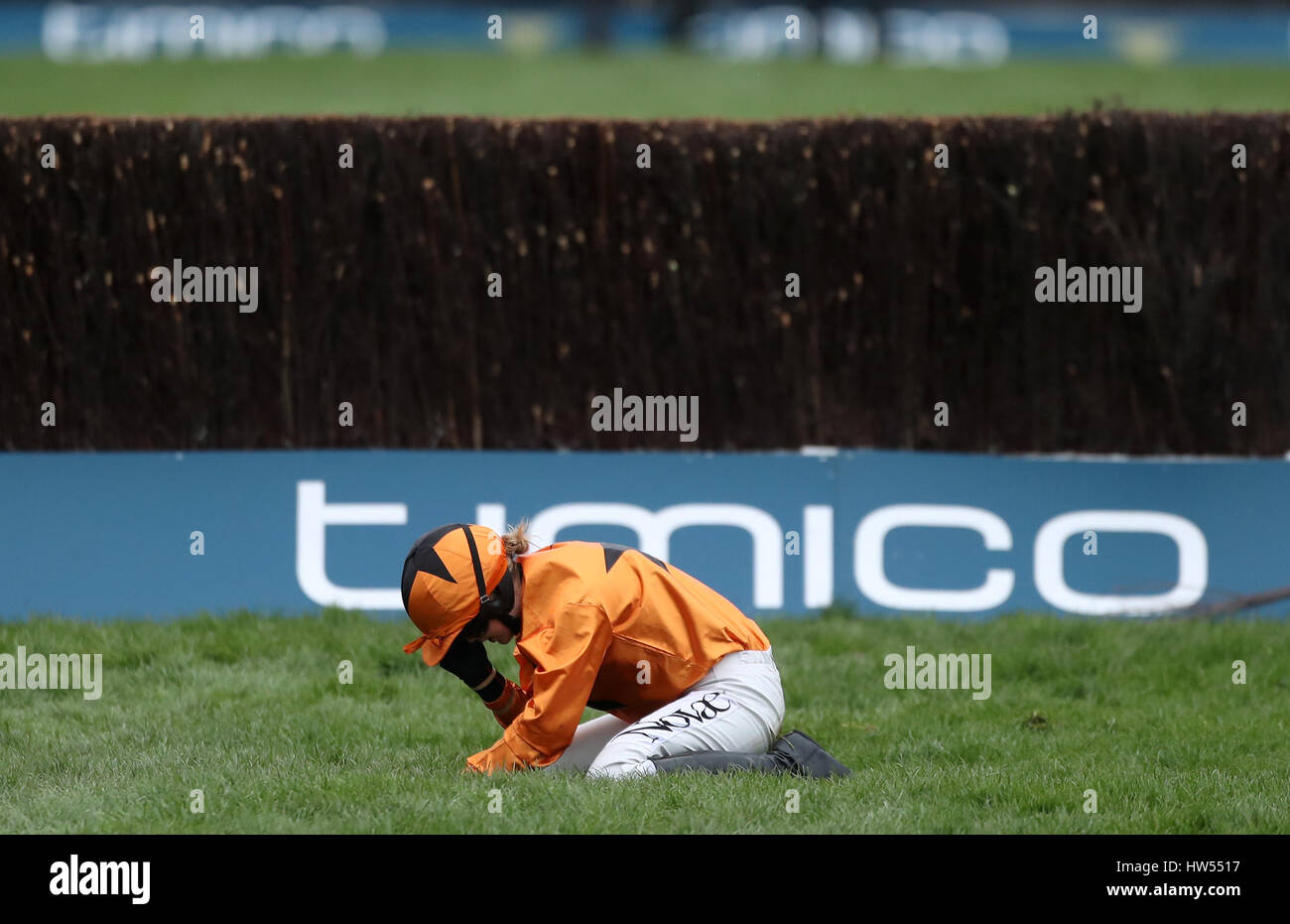 Jockey Lizzie Kelly after a fall on Tea For Two in the Timico Cheltenham Gold Cup Chase during Gold Cup Day of the 2017 Cheltenham Festival at Cheltenham Racecourse. Stock Photo