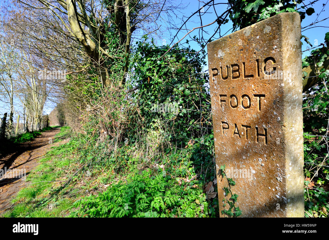 Boughton Monchelsea Village, Maidstone, Kent, England. Stone Public
