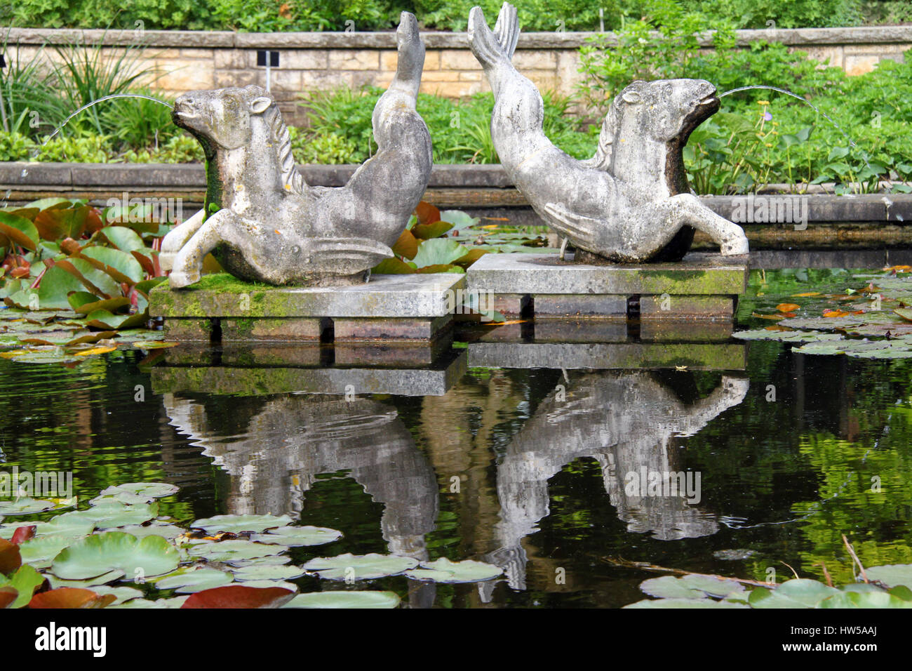 Botanical Garden - Palmengarten Frankfurt am Main, Germany - Waterlily  pond with gargoyle (water spout) -  May 2012 Stock Photo