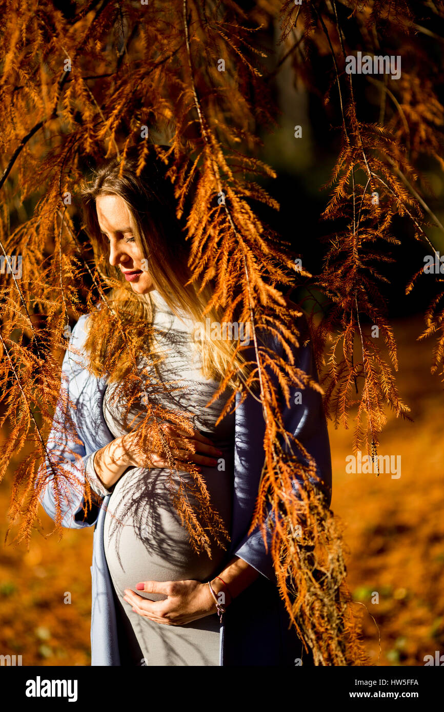 Young pregnant woman in the autumn park Stock Photo - Alamy