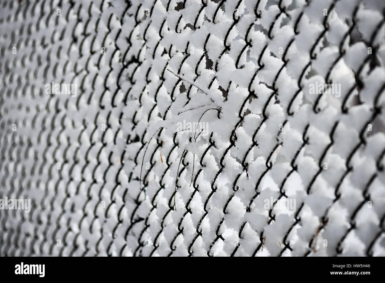 metal fence in winter covered with snow Stock Photo - Alamy