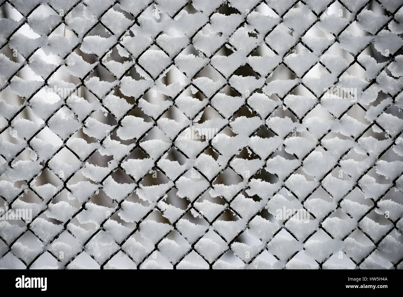 metal fence in winter covered with snow Stock Photo - Alamy
