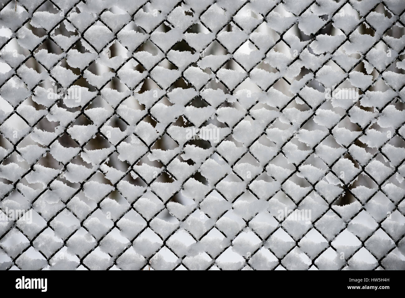 metal fence in winter covered with snow Stock Photo - Alamy