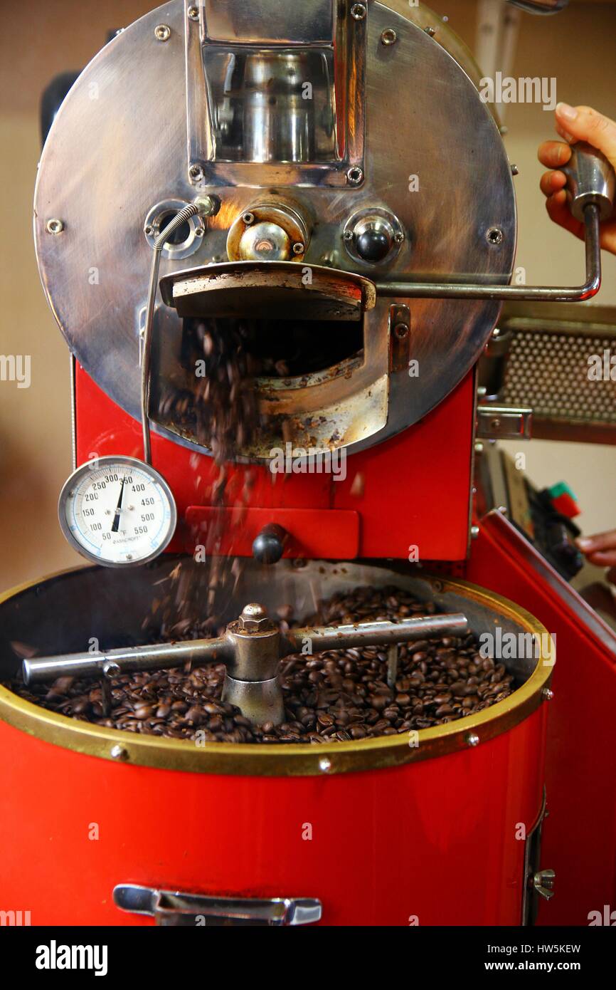 A drum type coffee roaster being used Stock Photo Alamy
