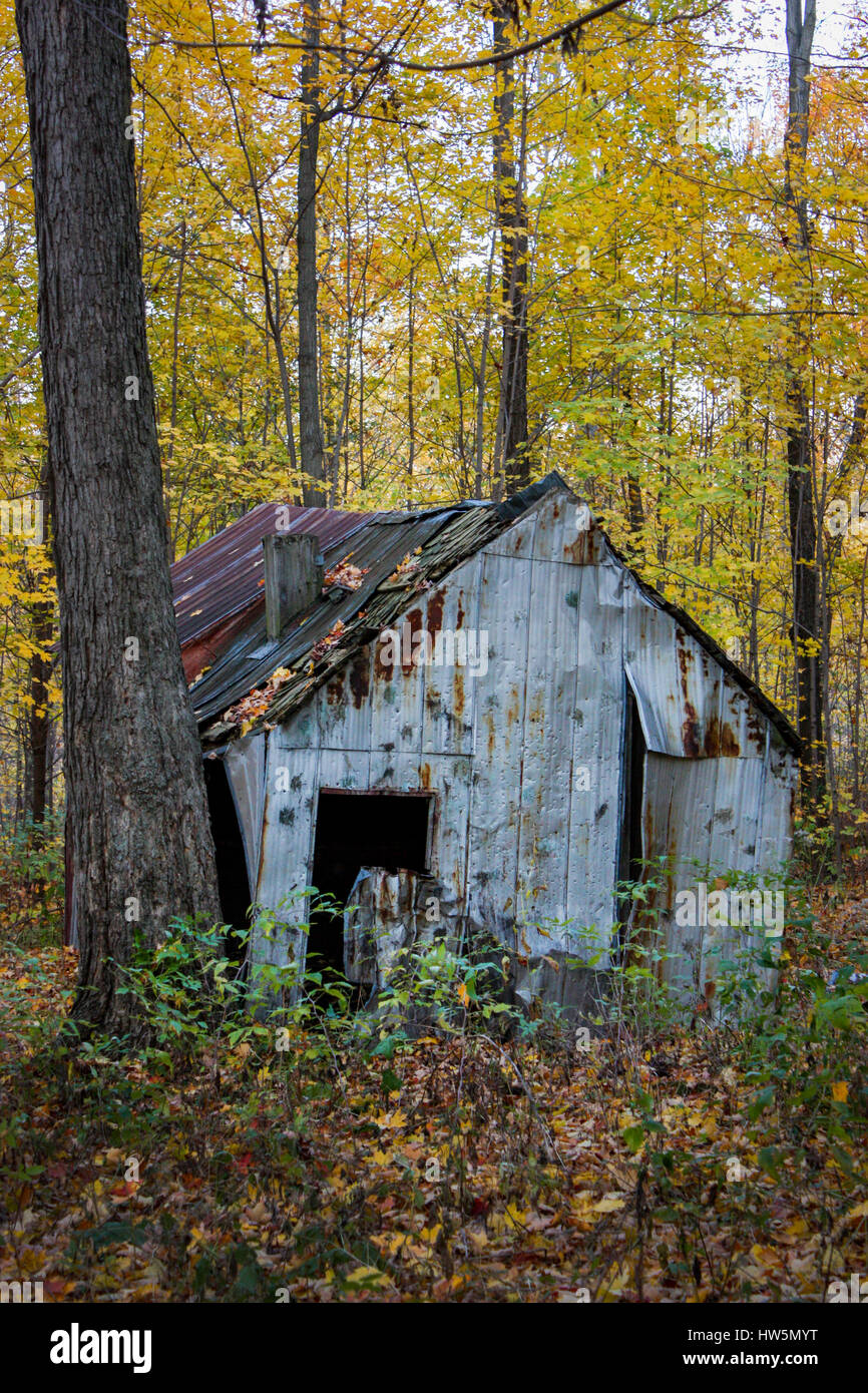 Old Barn In The Woods In Fall Season Stock Photo 135965196 Alamy
