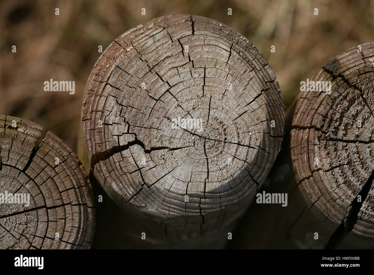 Wooden column hi-res stock photography and images - Alamy