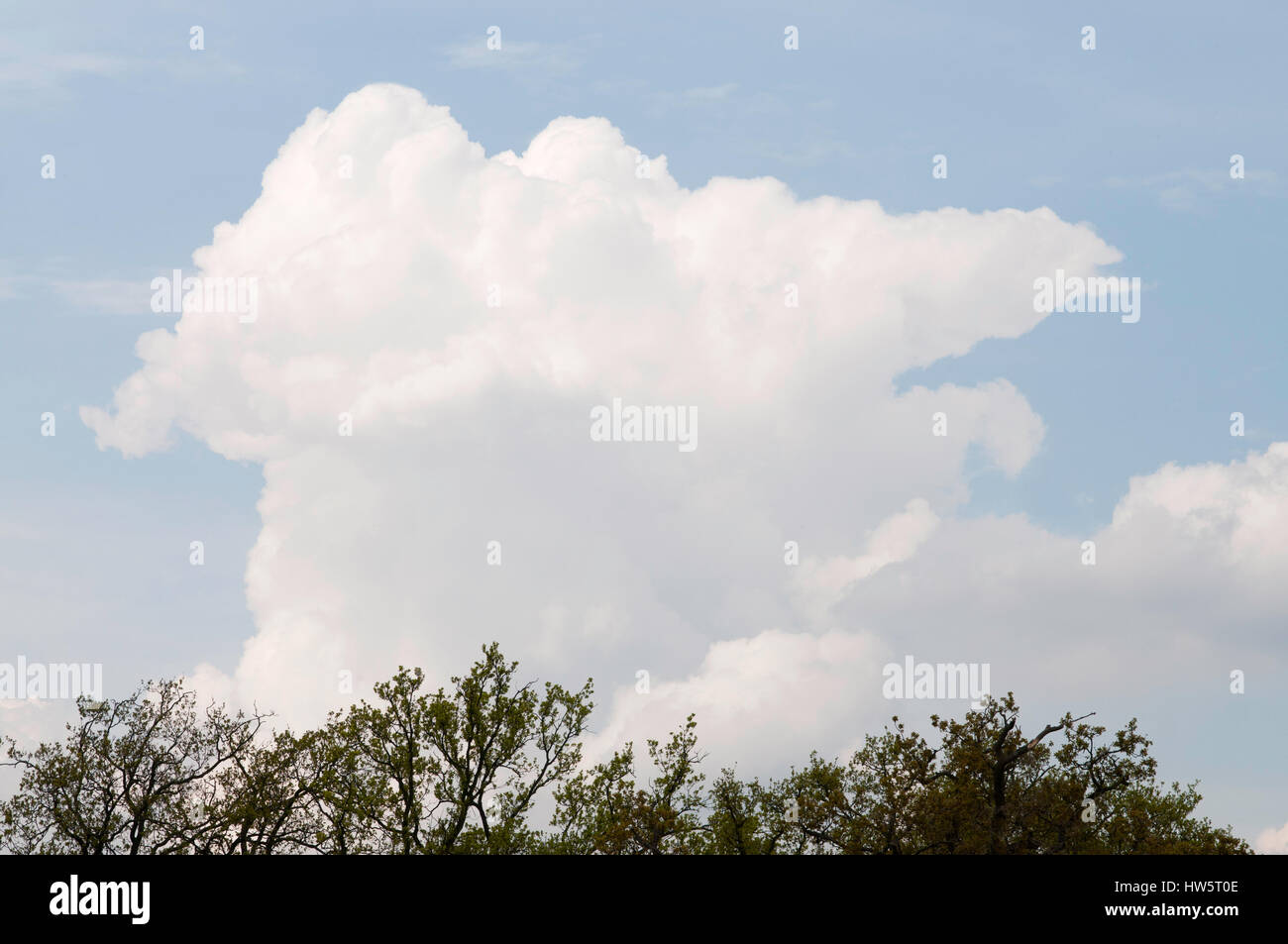 Cumulonimbus Cloud Forming Stock Photo