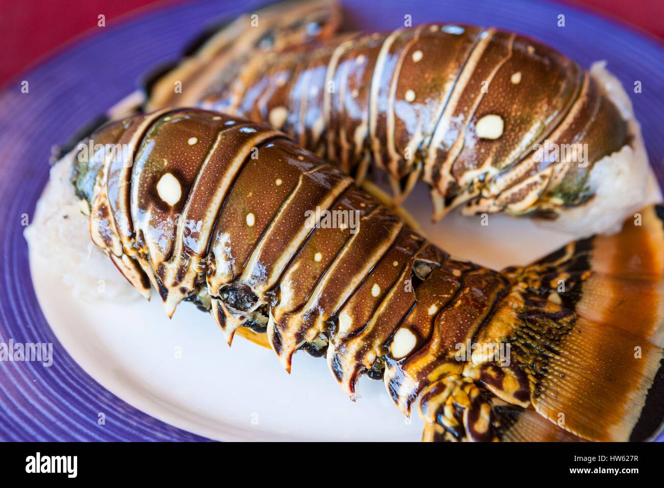 Cuba, Cienfuegos province, Cienfuegos, Rancho Luna, spiny lobster dish Stock Photo
