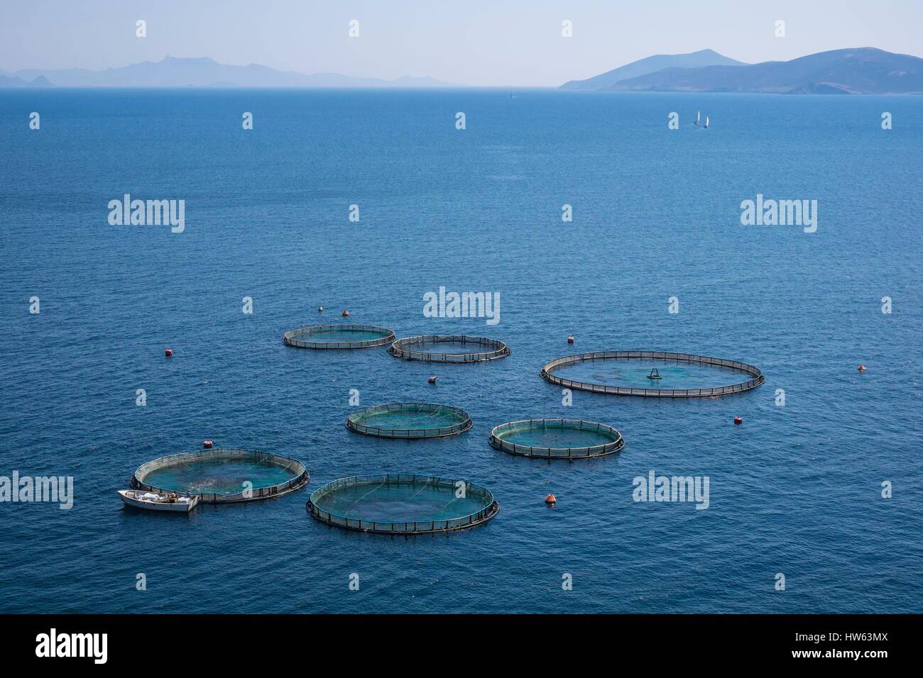 Greece, Dodecanese archipelago, Kalymnos island, fish farming Stock ...