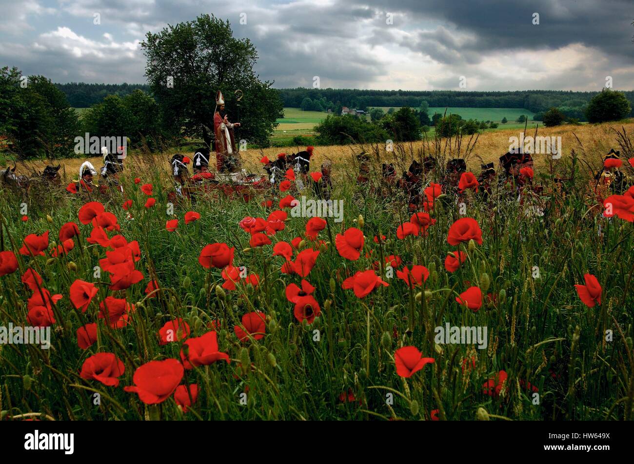 Poppy field belgium hi-res stock photography and images - Alamy