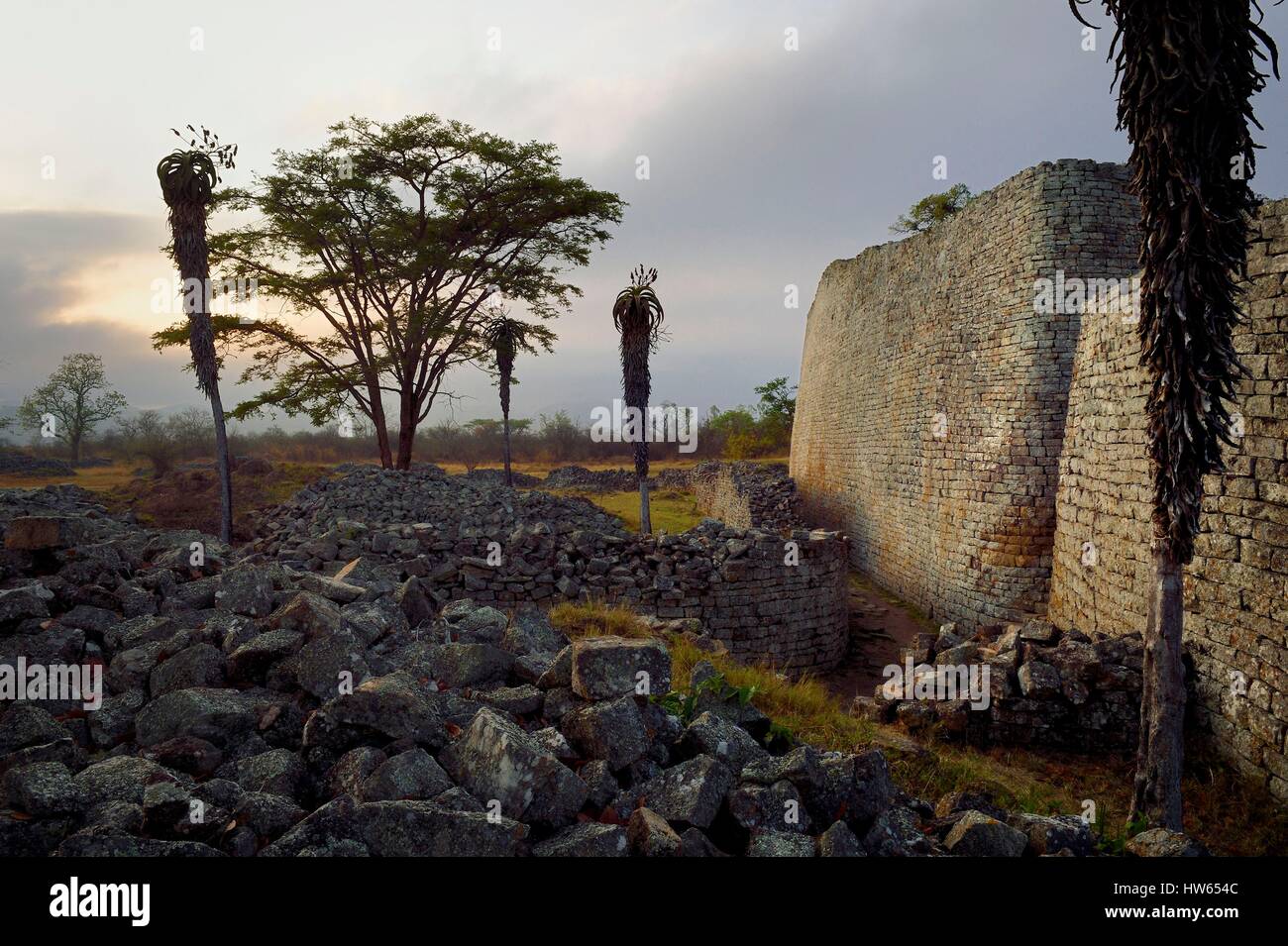 Zimbabwe, Masvingo province, the ruins of the archaeological site of Great Zimbabwe, UNESCO World Heritage List, 10th-15th century, exterior wall north-east entrance of the Great Enclosure and Aloe excelsa (also known as the Zimbabwe Aloe) Stock Photo