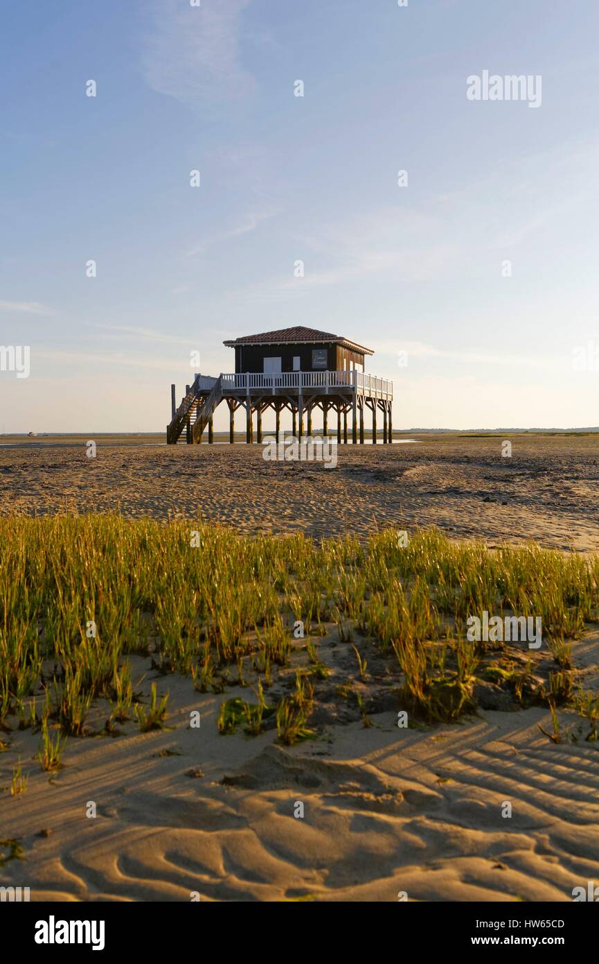 France, Gironde, Bassin d'Arcachon, ile aux oiseaux, the Cabanes Tchanquees Stock Photo