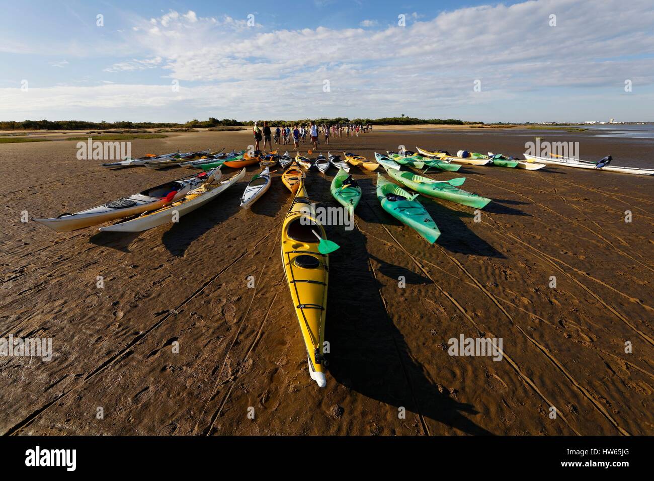 France, Gironde, Bassin d'Arcachon, Le Teich, Leyre river delta, kayaking on the Leyre Stock Photo