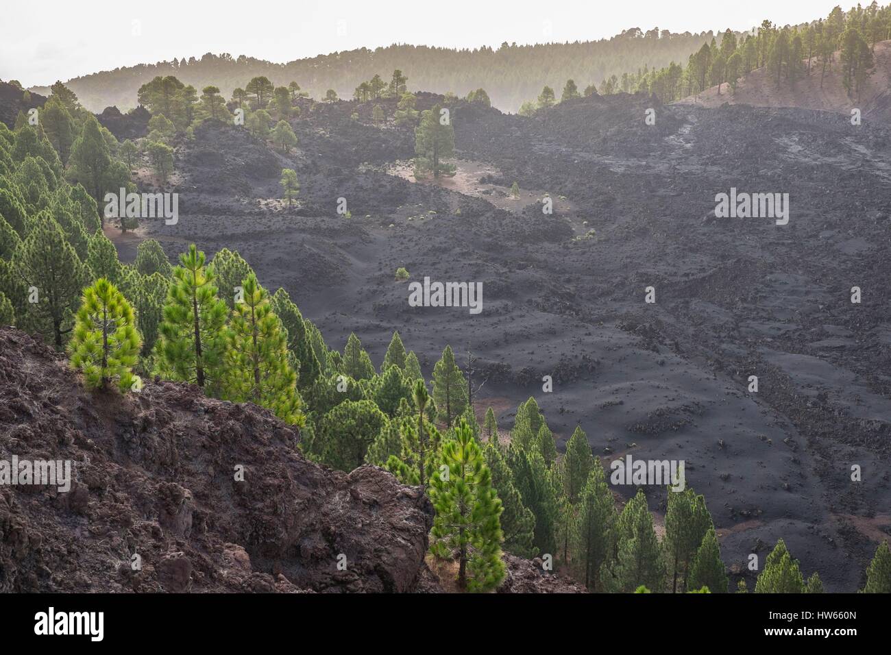 Spain, Canary Islands, La Palma island declared a Biosphere Reserve by ...