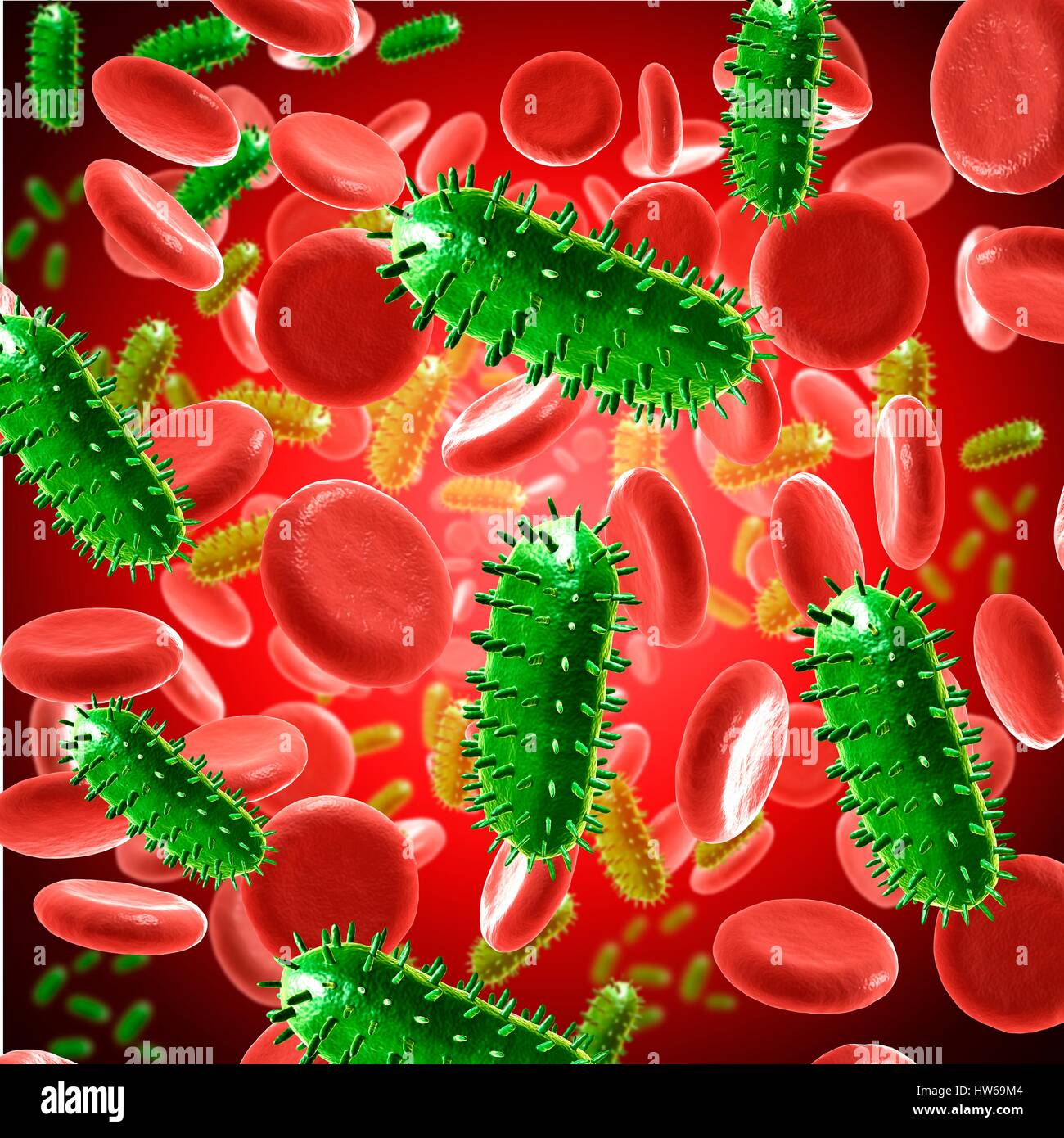 Illustration of the rabies virus in the blood Stock Photo Alamy