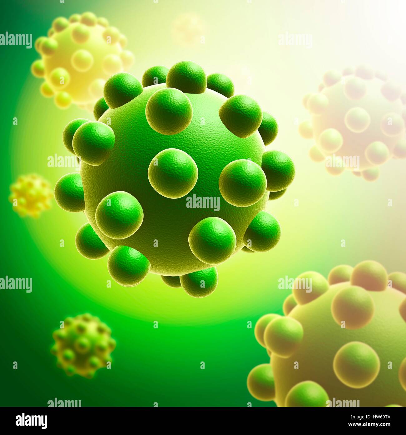 Chicken Pox Virus