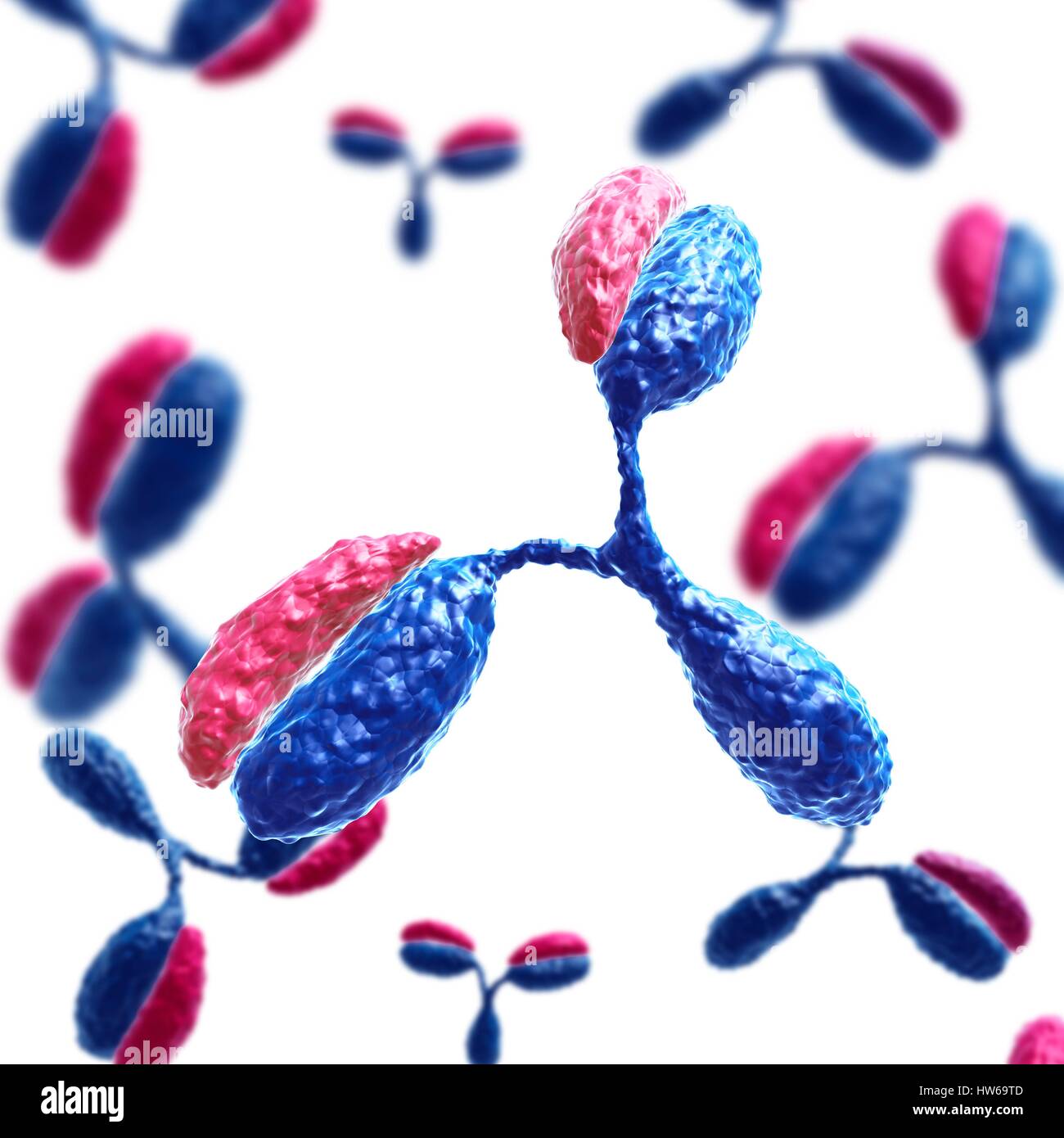 Illustration of antibodies Stock Photo - Alamy
