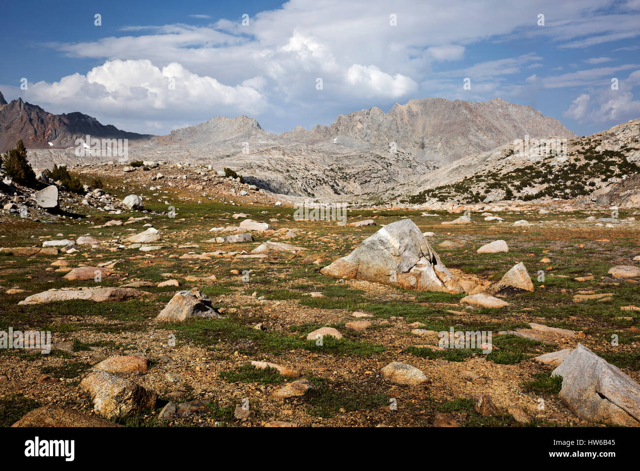 CA03091-00...CALIFORNIA - Meadows near Goethe Lake view towards Piute Pass in the John Muir Wilderness area; Inyo National Forest. Stock Photo