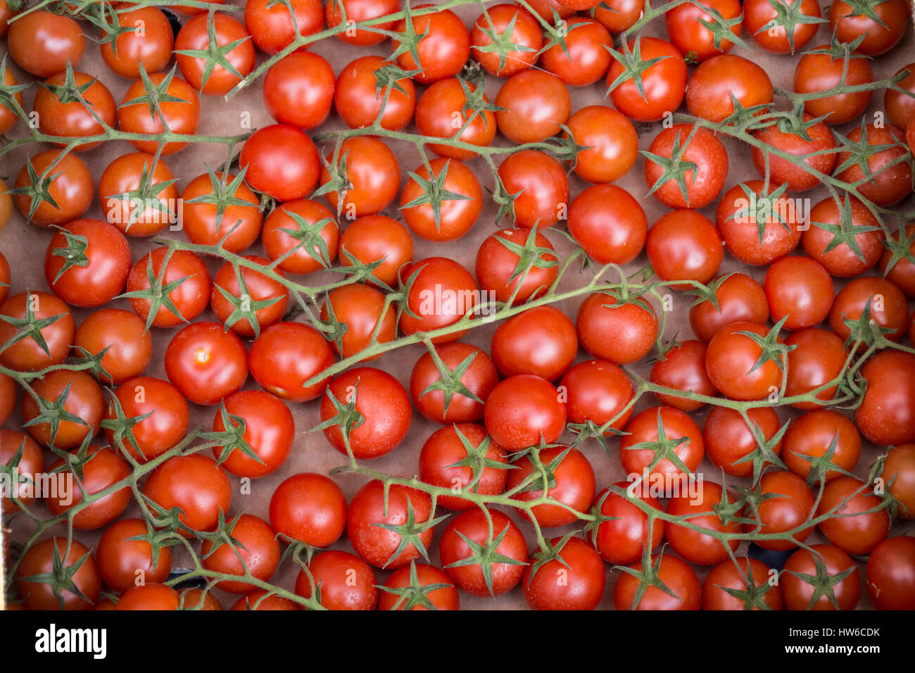 Bunch of cherry tomatoes in a market stall, Venice, Italy Stock Photo