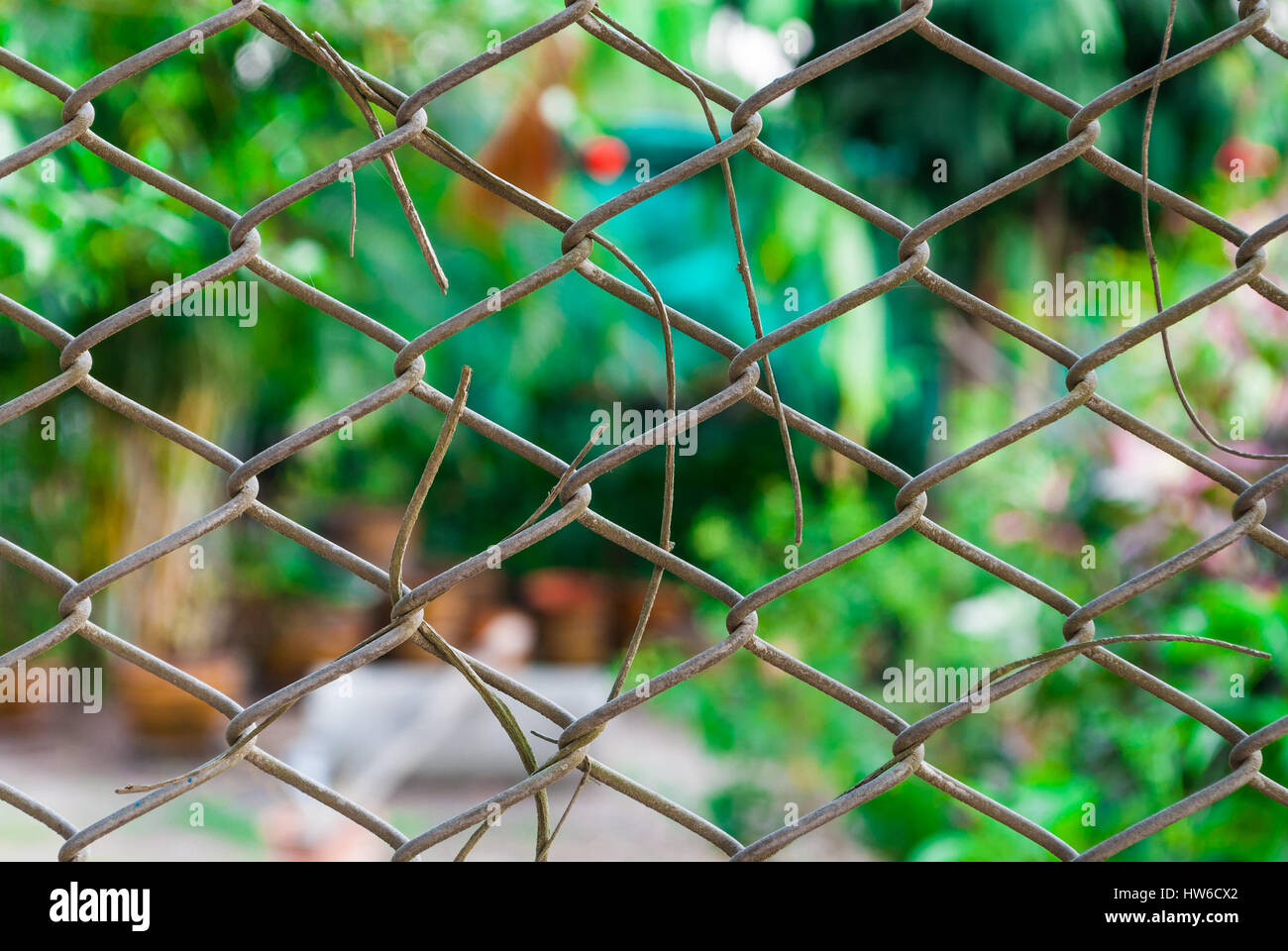 Mesh Fence with Blurred Background Stock Photo - Alamy