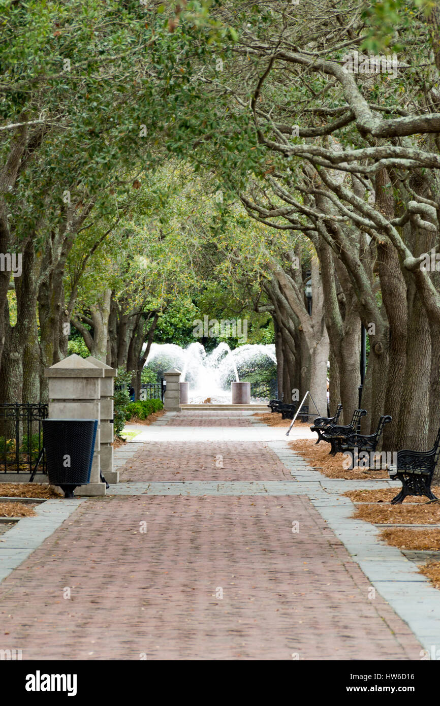 Waterfront Park, Charleston SC, with Fountain in the distance Stock