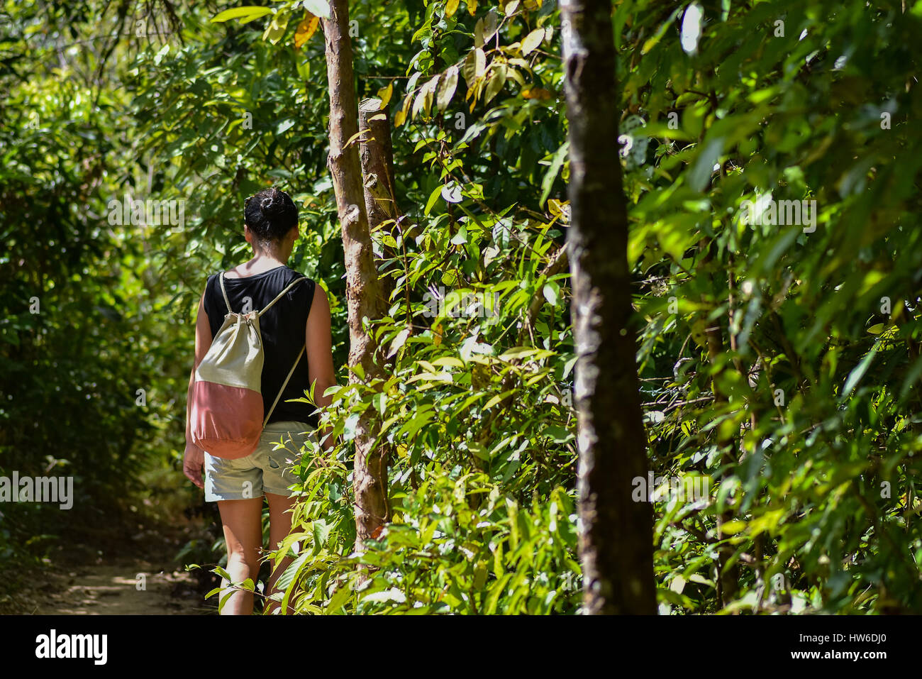 Black haired young woman walking along a path through a thick green jungle with canvas back pack on sunny day. Stock Photo