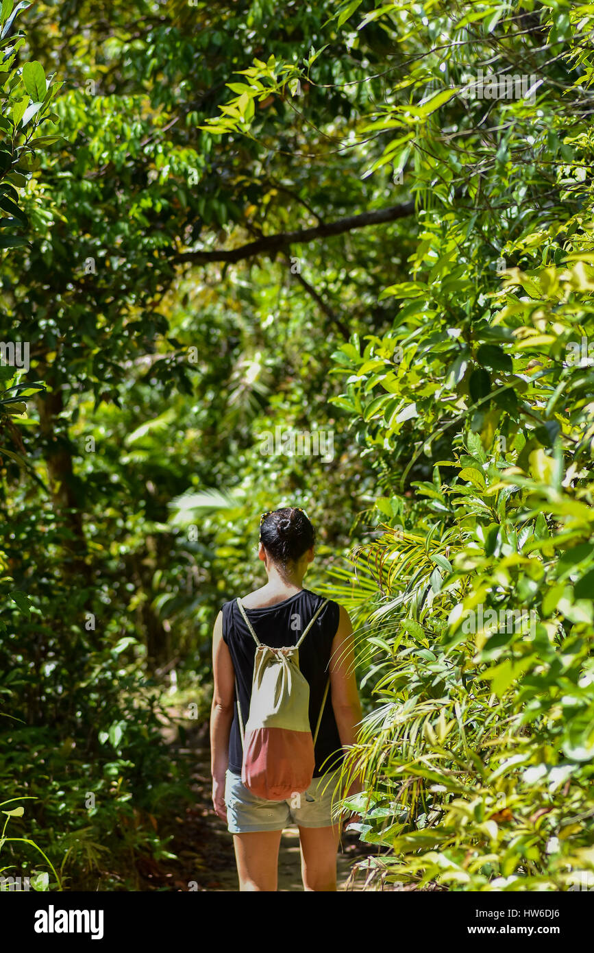 Black haired young woman walking along a path through a thick green jungle with canvas back pack on sunny day. Stock Photo