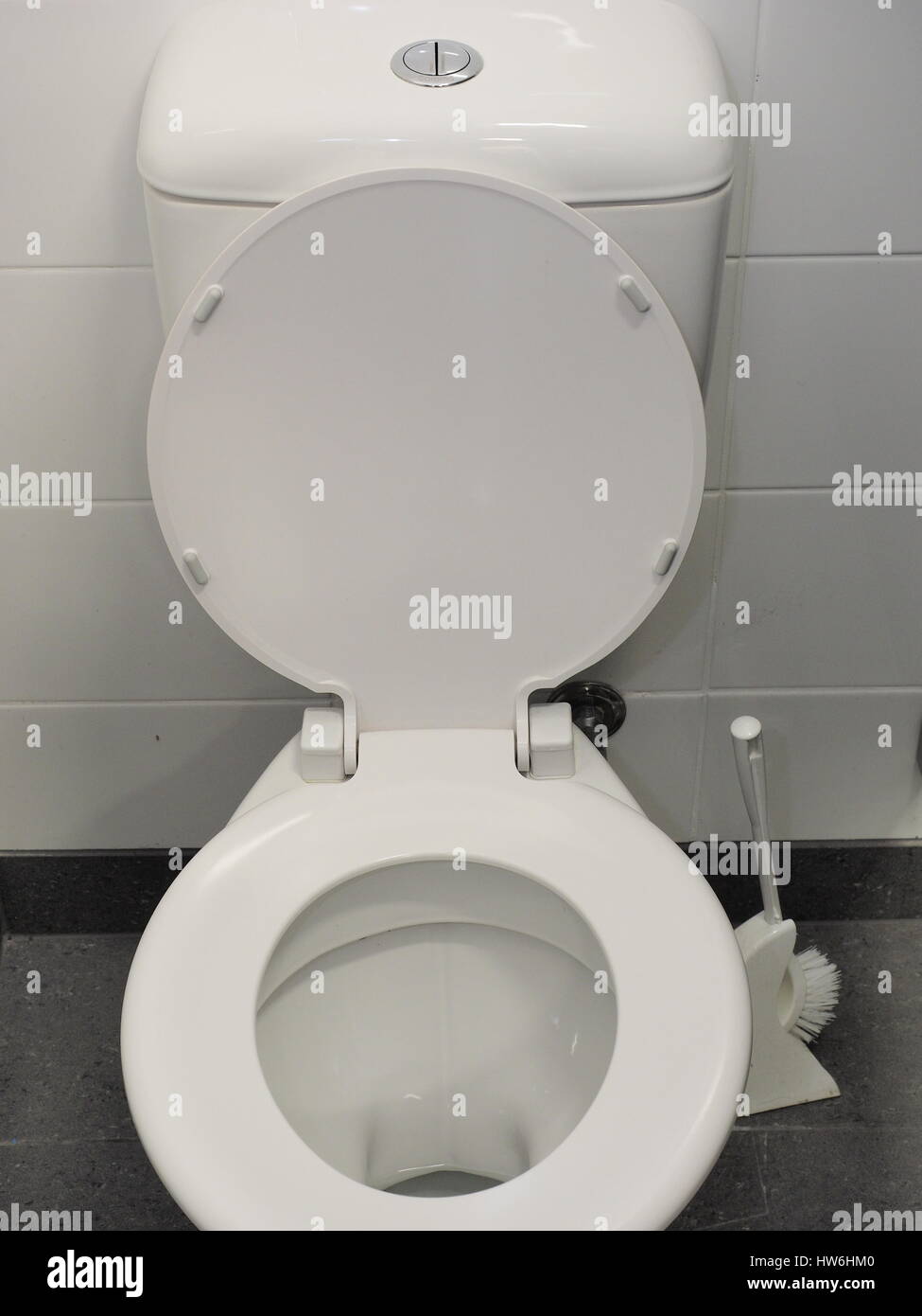 https://c8.alamy.com/comp/HW6HM0/toilet-bowl-with-brush-in-a-cubicle-in-a-pristine-industrial-lavatory-HW6HM0.jpg