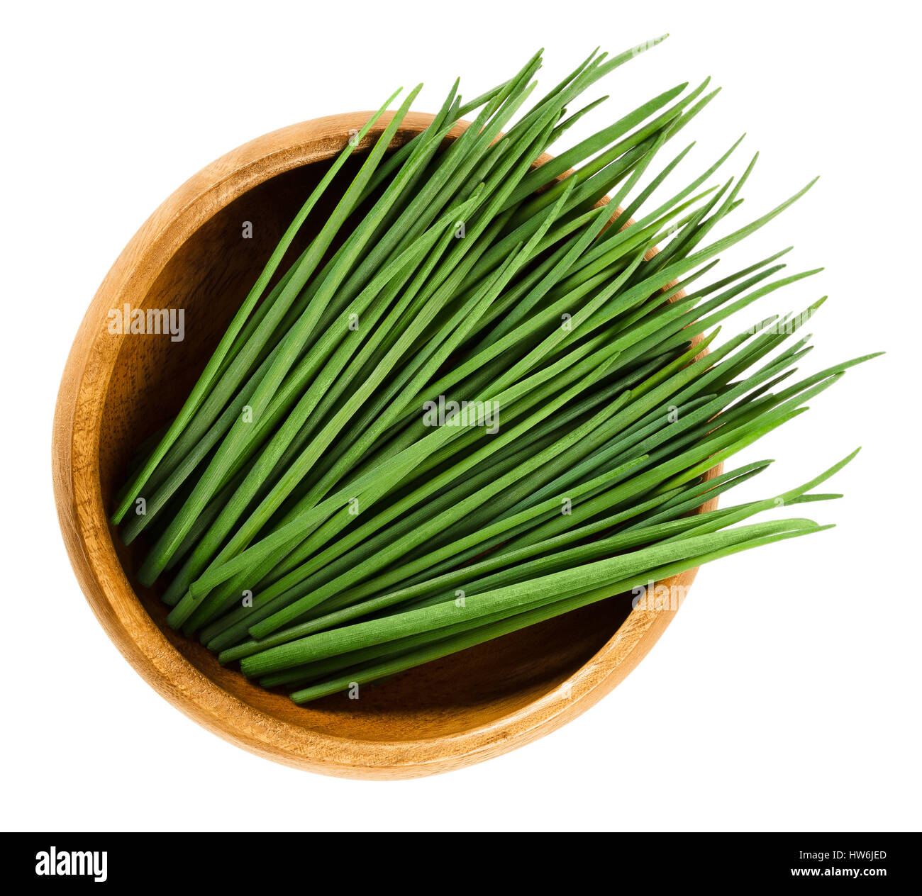 Chives scapes in wooden bowl. Fresh green edible herb of Allium schoenoprasum, used as an ingredient for fish, potatoes and soups. Stock Photo