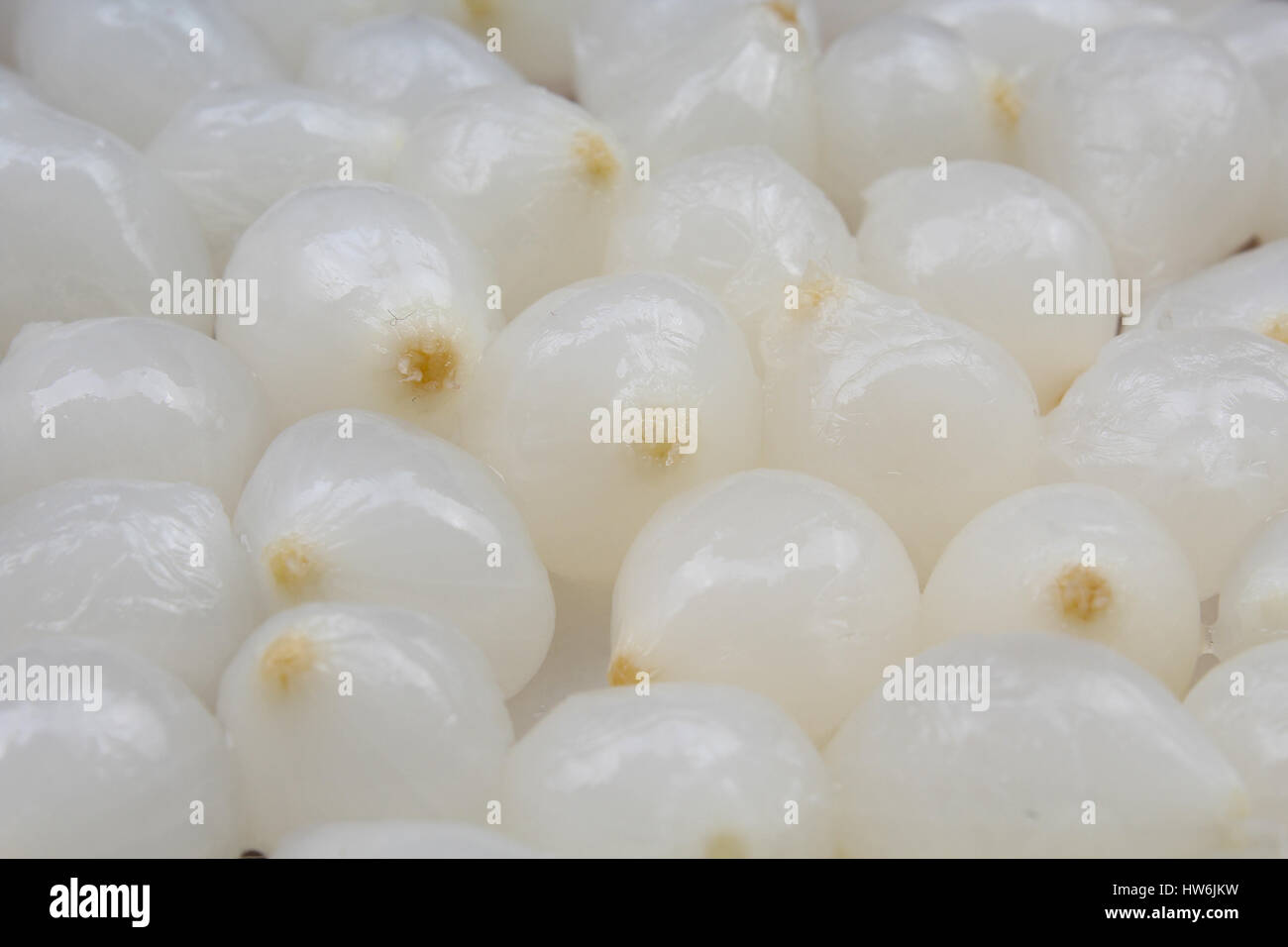 Pearl shallots onion Stock Photo Alamy