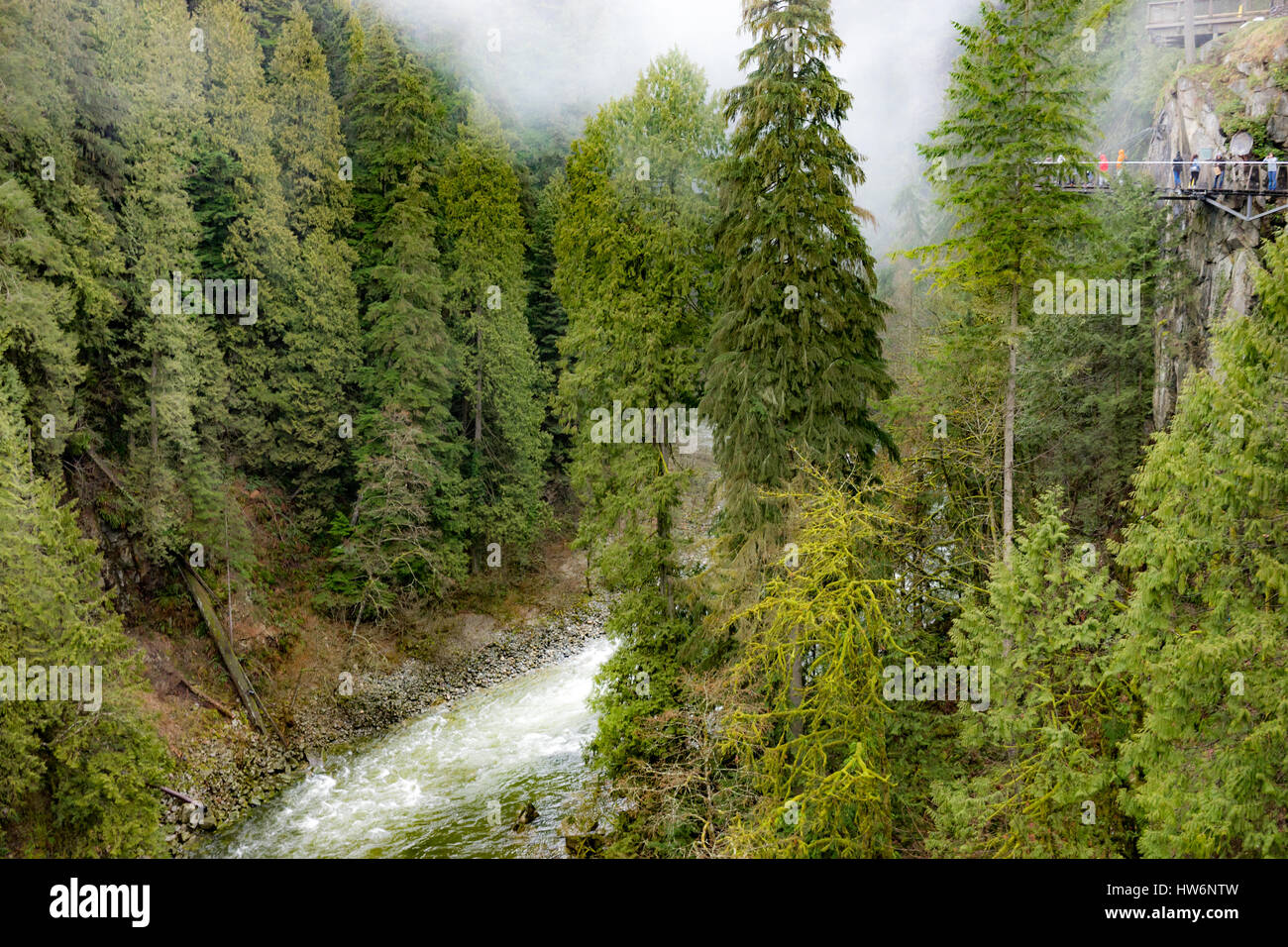 View from the Capsilano Suspension Bridge in Vancouver. PNW landscape
