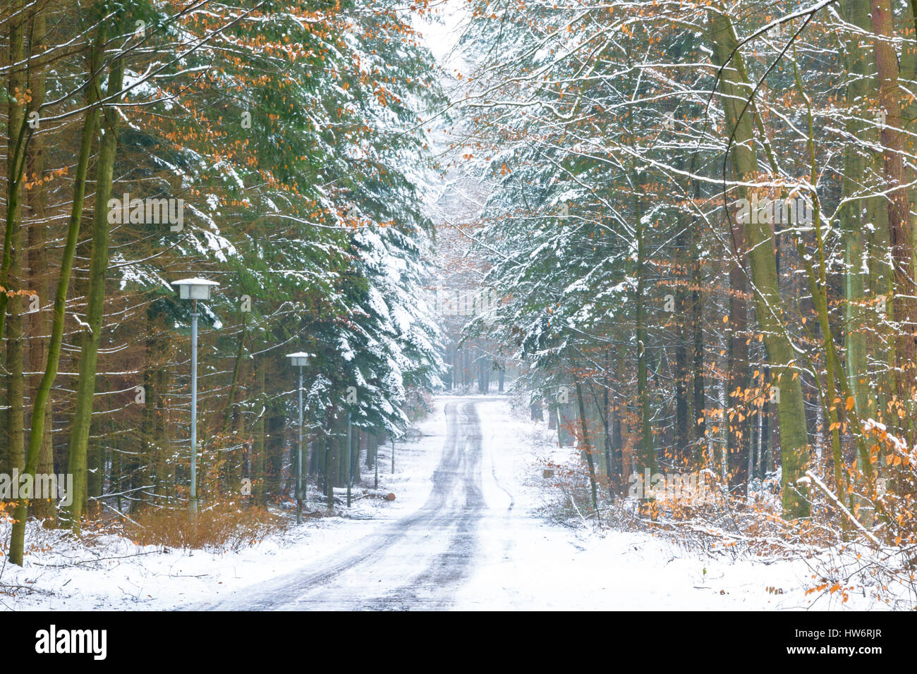 8.080 Schneebesen Bilder und Fotos - Getty Images