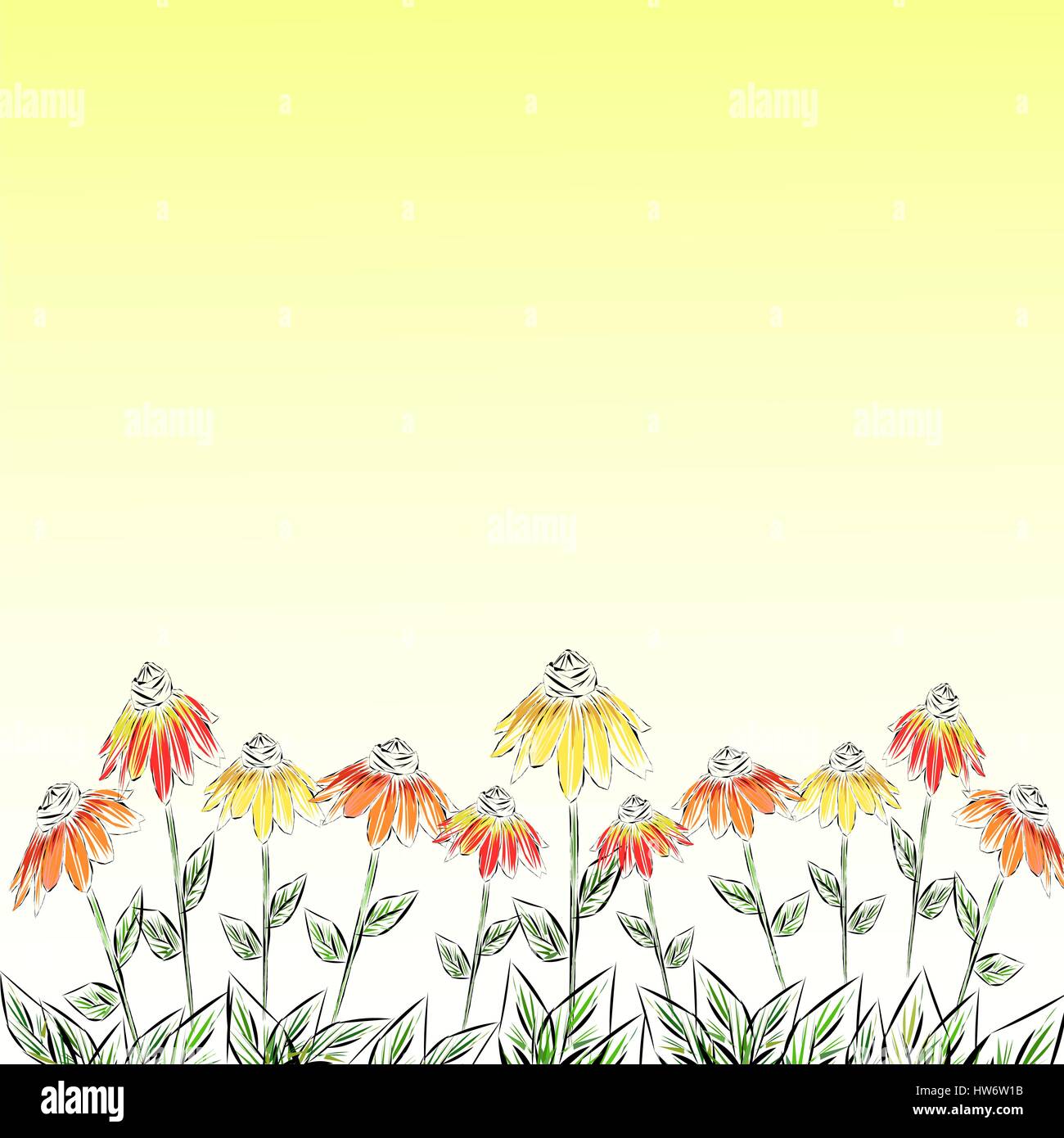 White orange spring flowers Stock Vector Images - Alamy