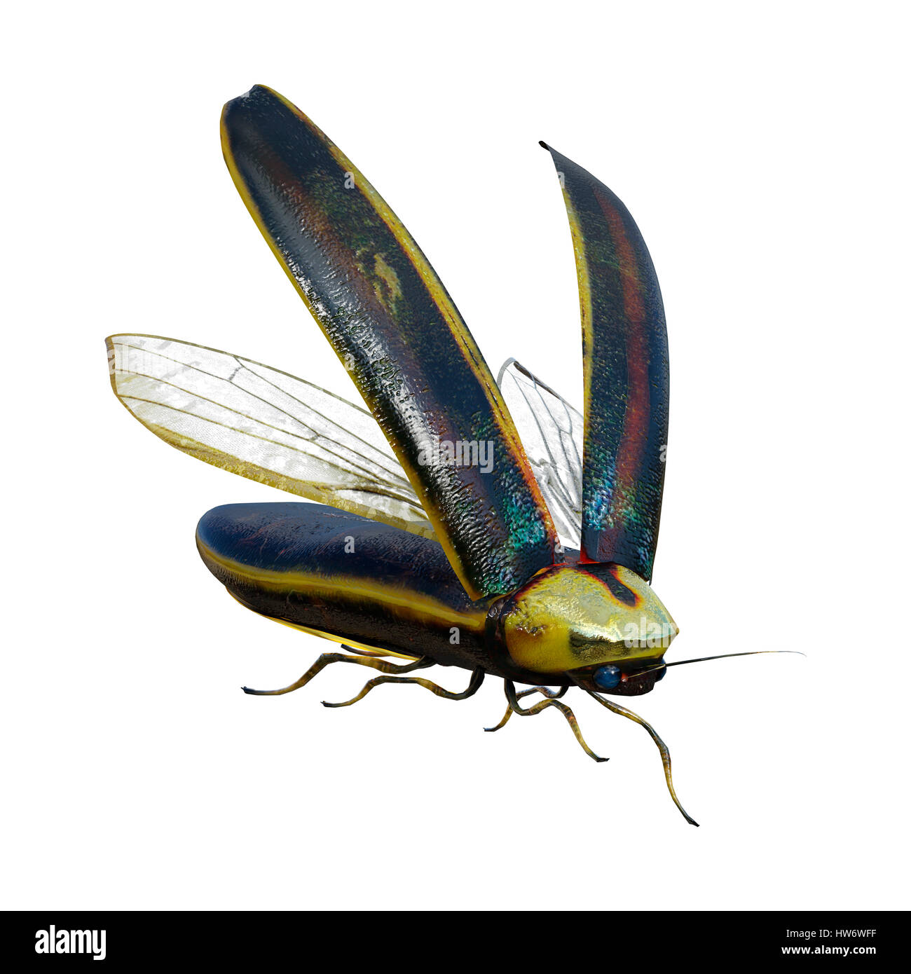 3D rendering of a lightning bug isolated on white background Stock Photo
