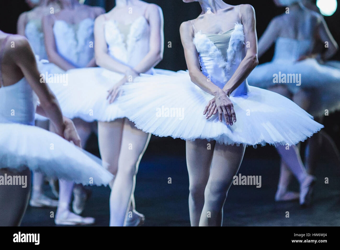 Hands of ballerinas. Ballet swan lake Stock Photo - Alamy