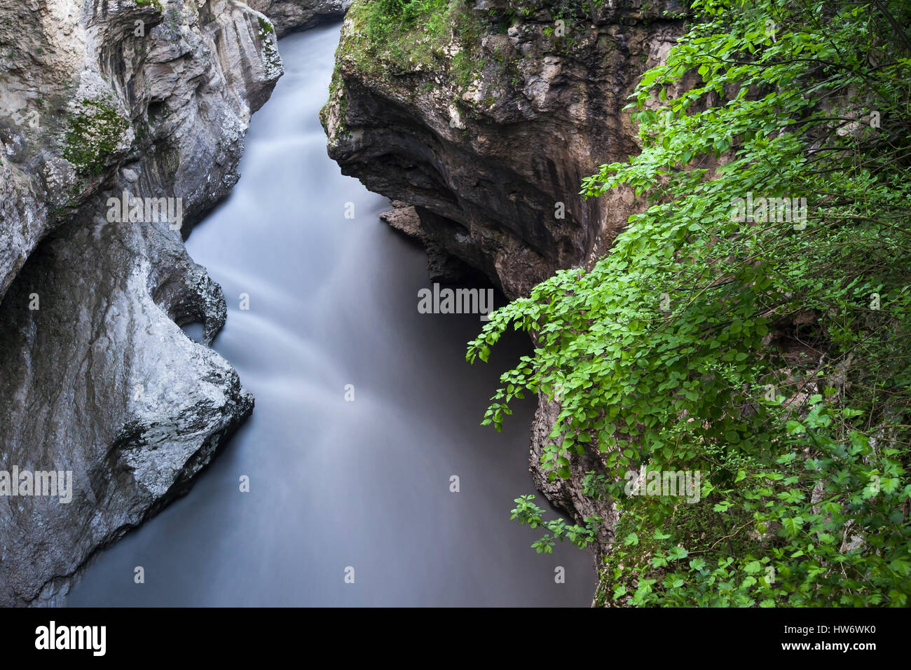 Moist Rivers Moist gorge environment hi-res stock photography and images - Alamy