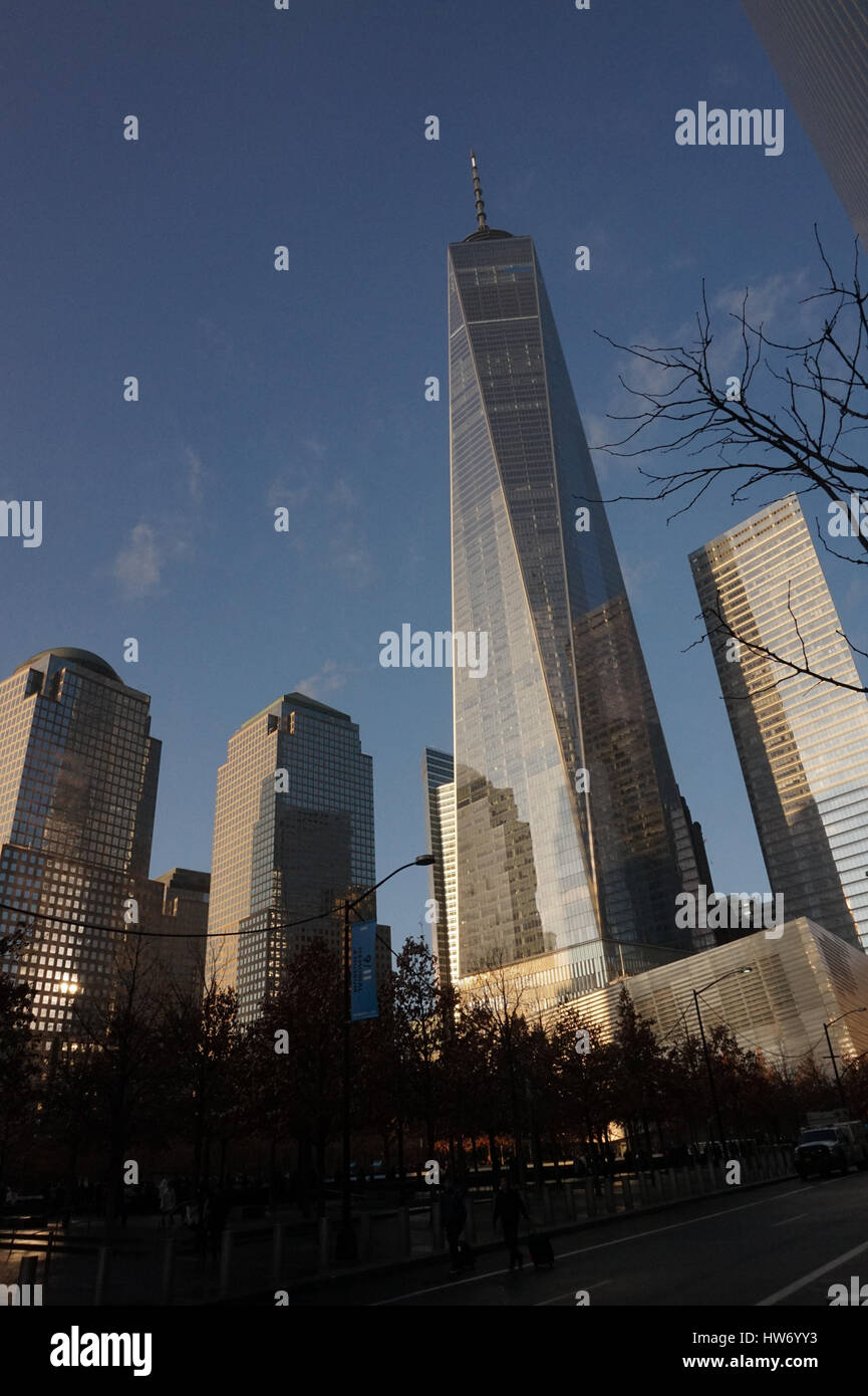 World Trade Center and neighboring buildings, Downtown New York City ...