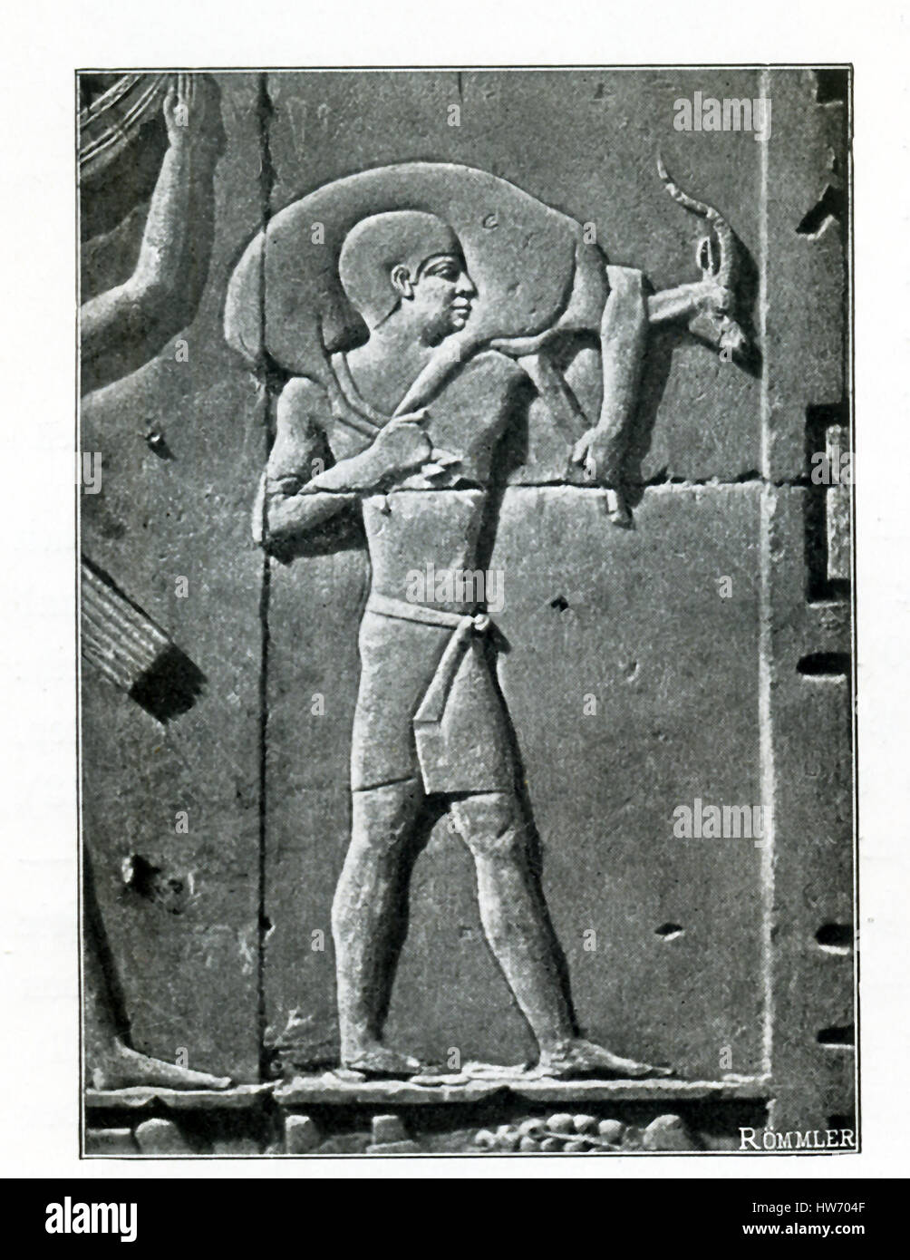 This carved relief from a tomb in Saqqara shows a slave with gazelle from tomb in Saqqara. This relief of a slave carrying an offering of a gazelle is from the chapel of Raemkai that was originally built and decorated for an official named Neferiretnes. The reliefs in this section show the tomb owner's attendants bringing six steppe animals to their lord. The animal attendants are called Ka-servants, meaning they were employed on the estates that supplied the provisions for the tomb owner's funeral cult. The attendant pictured here was named Ptahshepses and he carries a domesticated gazelle. Stock Photo